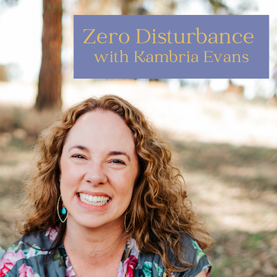 Zero Disturbance Podcast Image.png