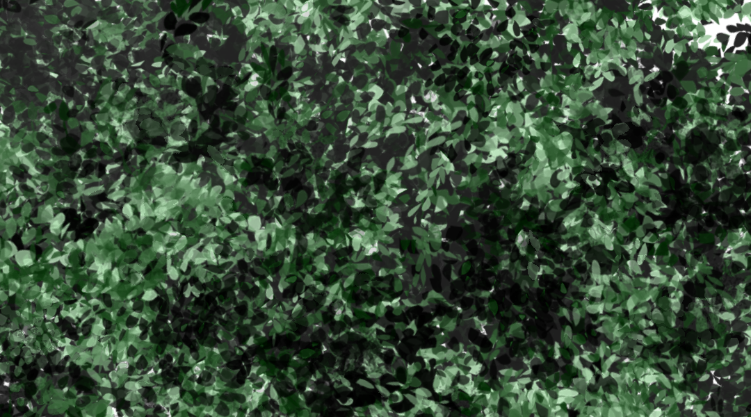 Island 1.png