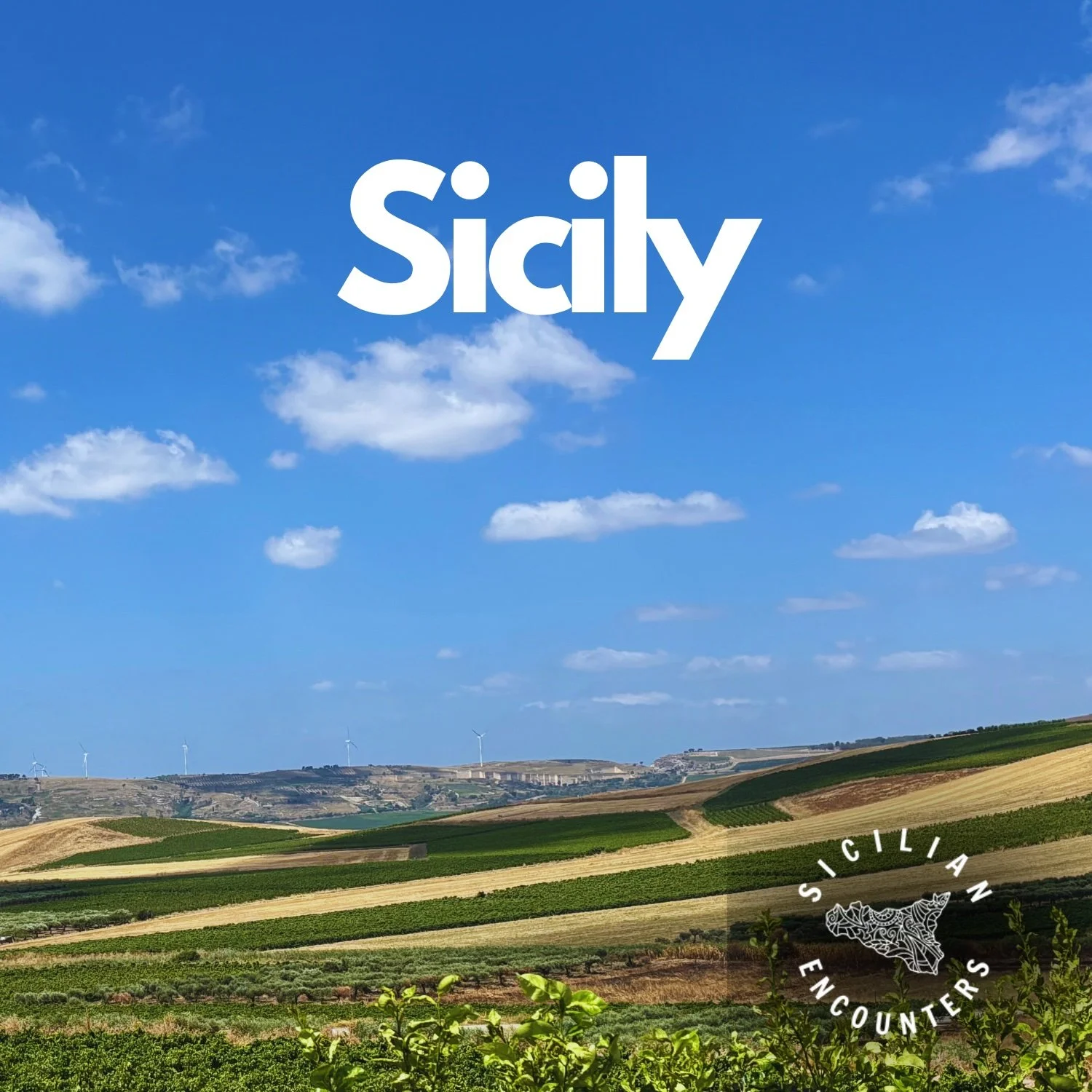 2026 Sicily Wine (web).jpg