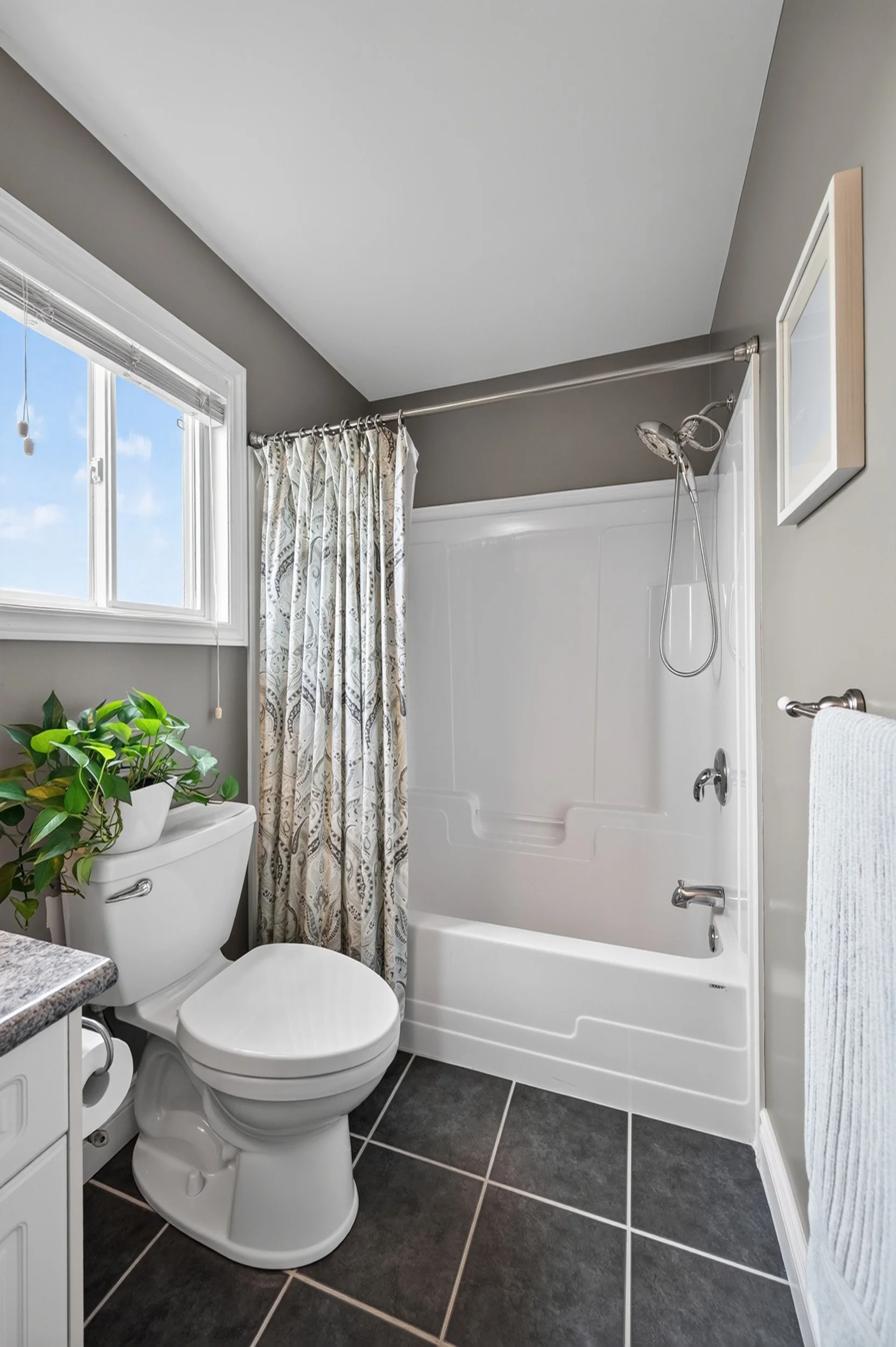 1706-bayswater-046.jpg