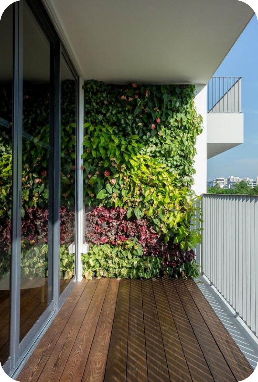Pin so stenou plnou rastlín na balkóne.