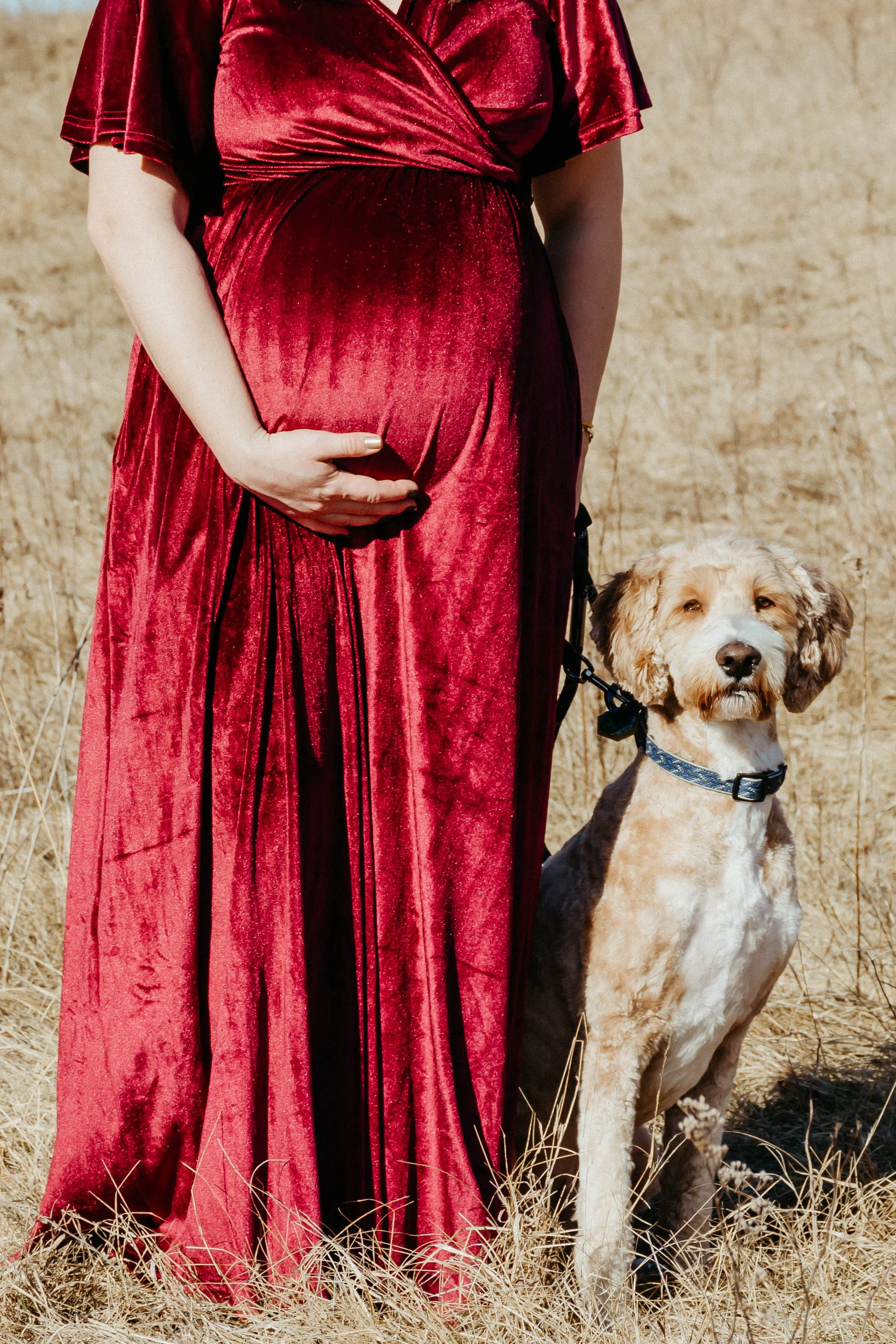 Shoyer Maternity-66.jpg