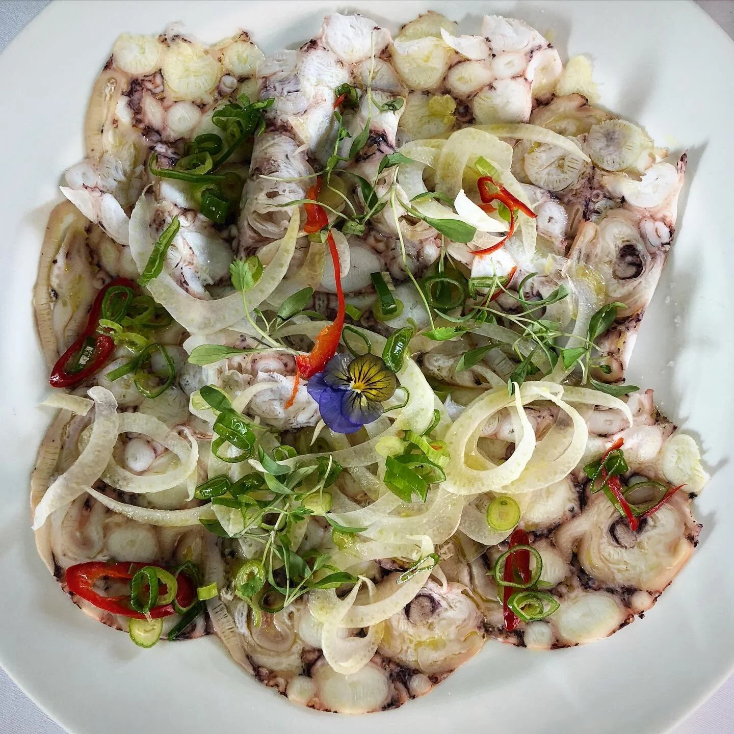🐙 CARPACCIO 🐙