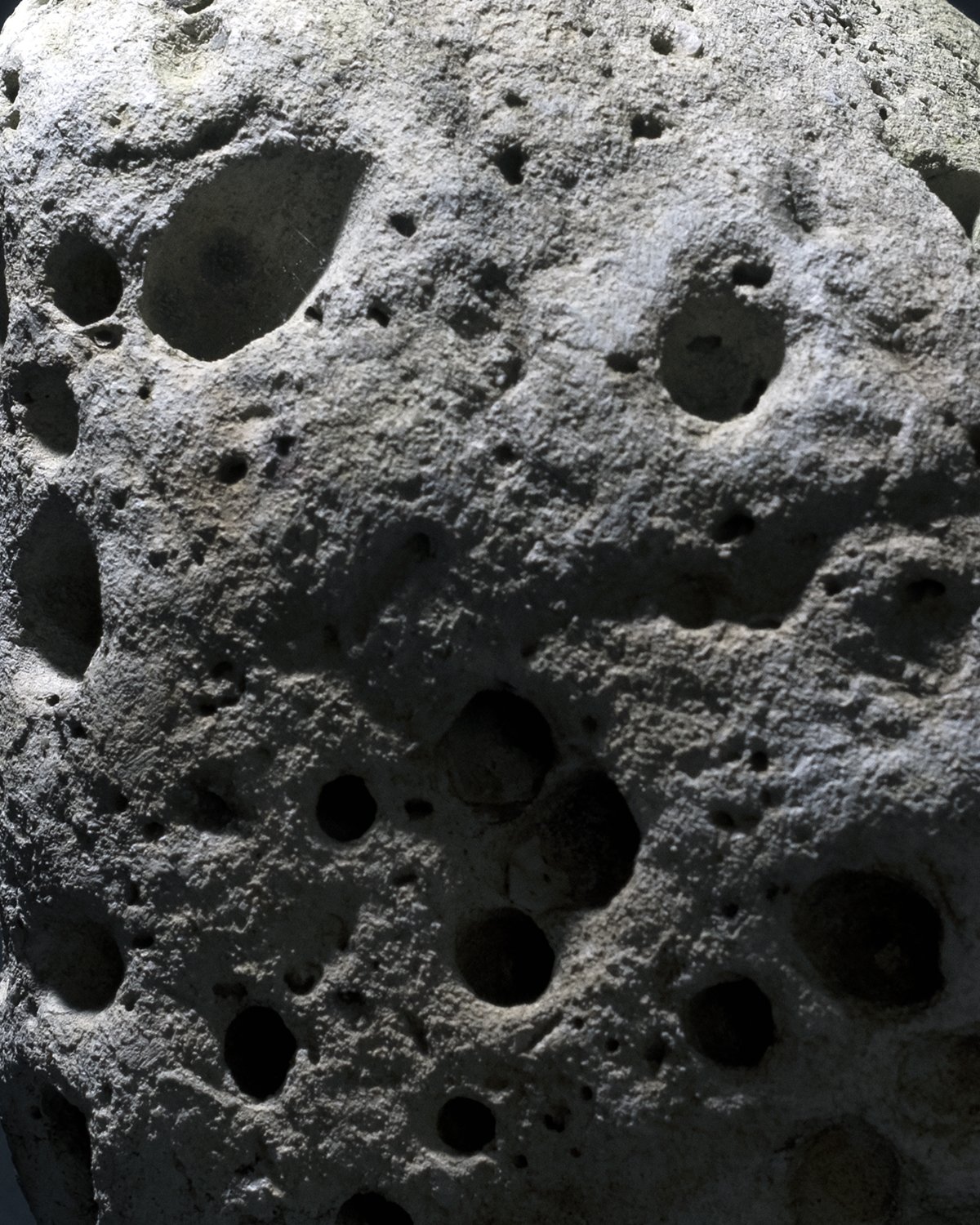 Lunário e Outras Listas [edição especial]