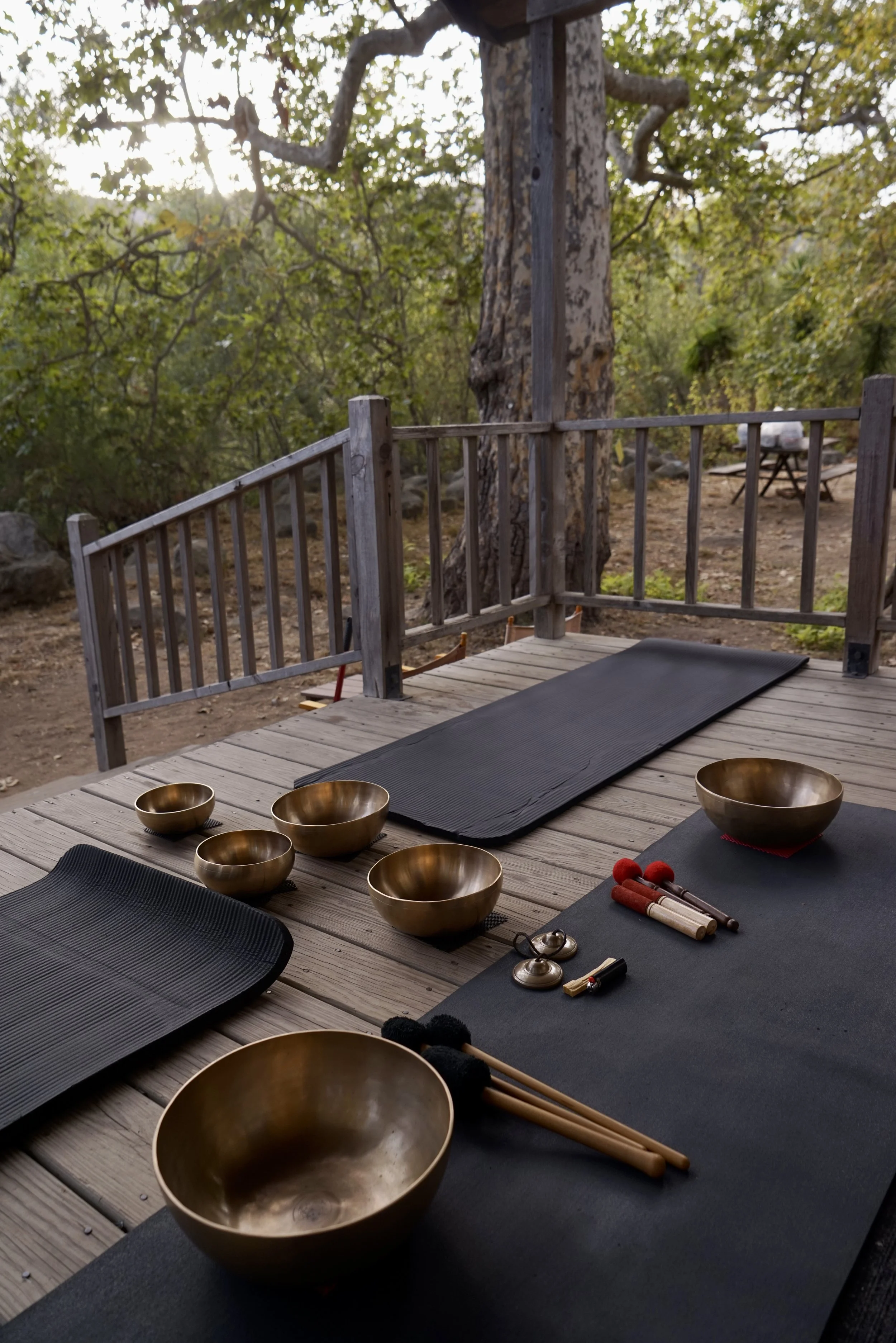 ONDO Holistic set up of singing bowls in a nature setting for vibrational sound therapy at a company workplace retreat for staff.