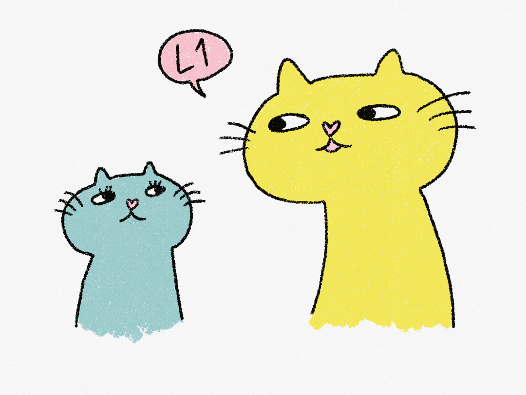 MLE Resource Development