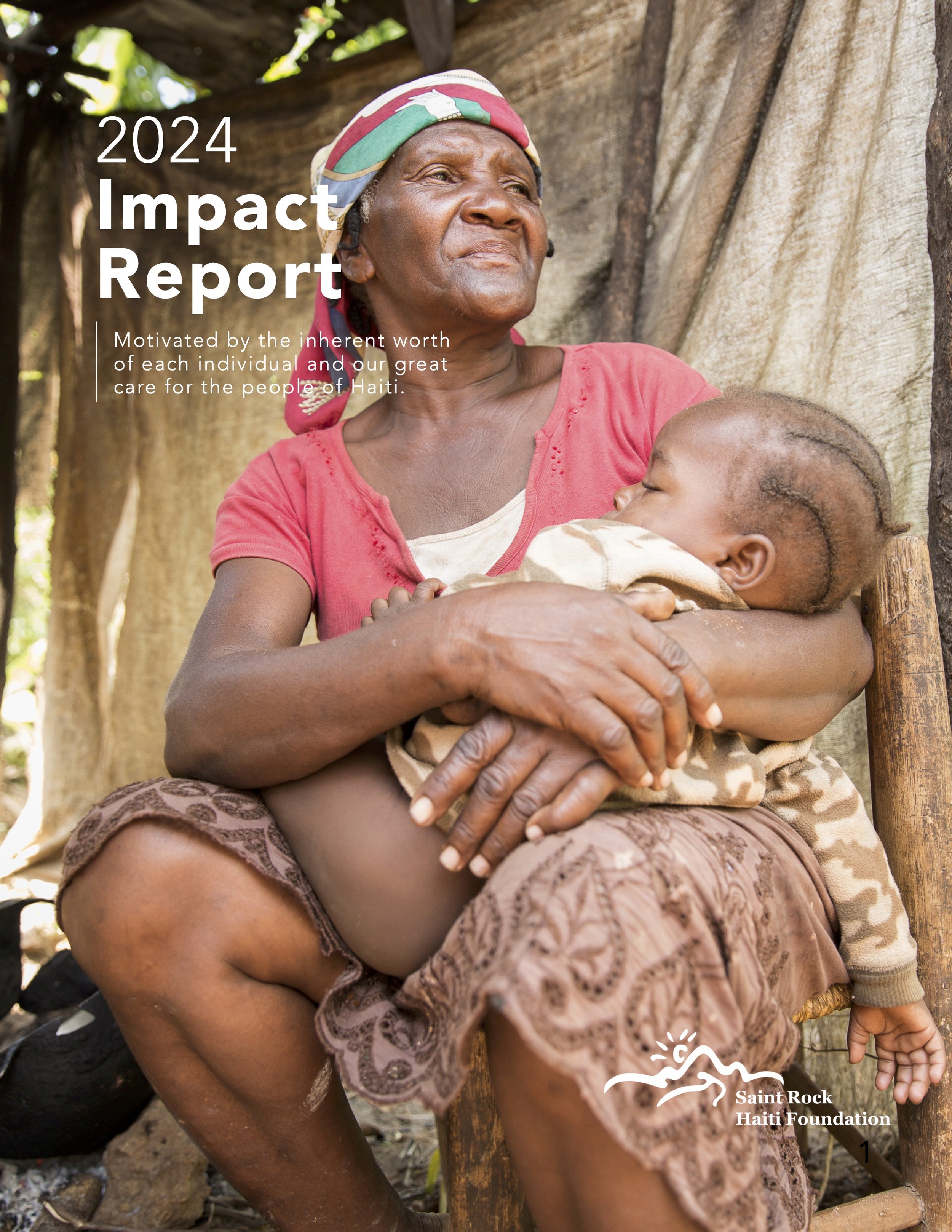 2024 Annual Impact