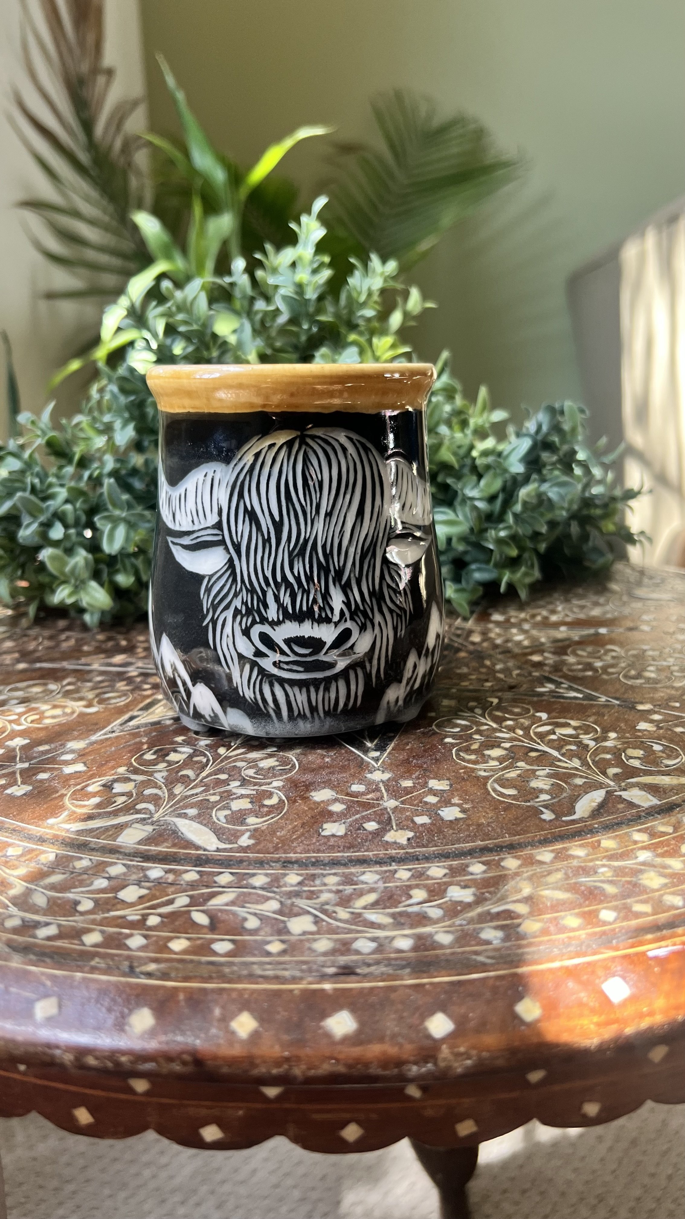 IMG_5201.jpeg
