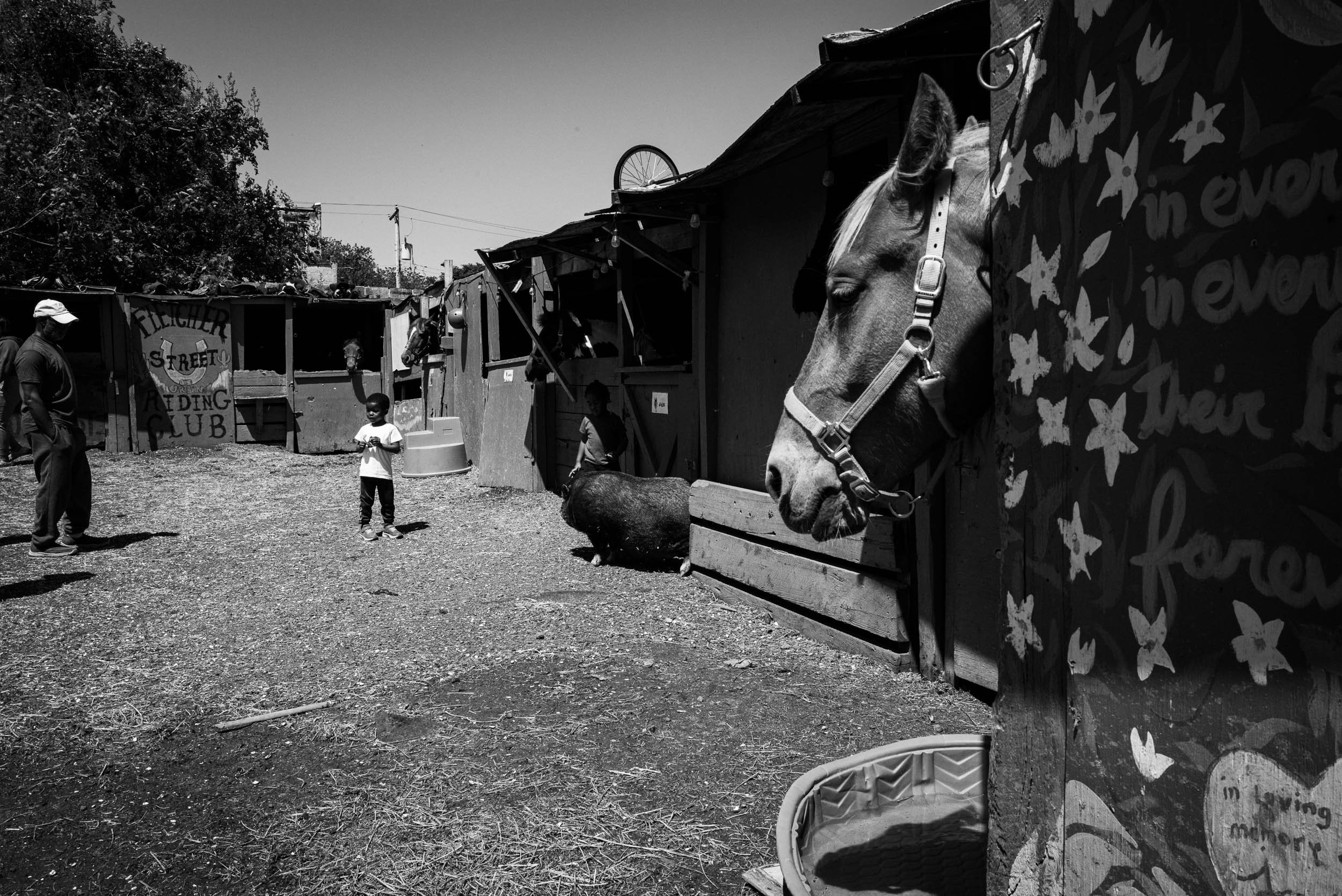 L1009586.jpg