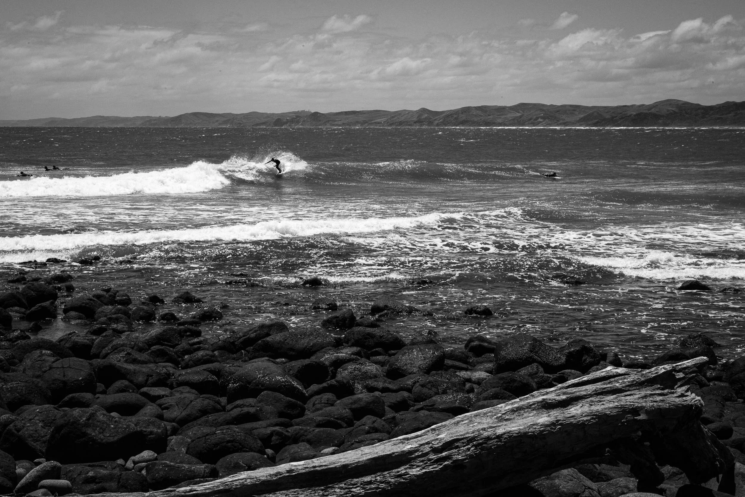 L1008872.jpg