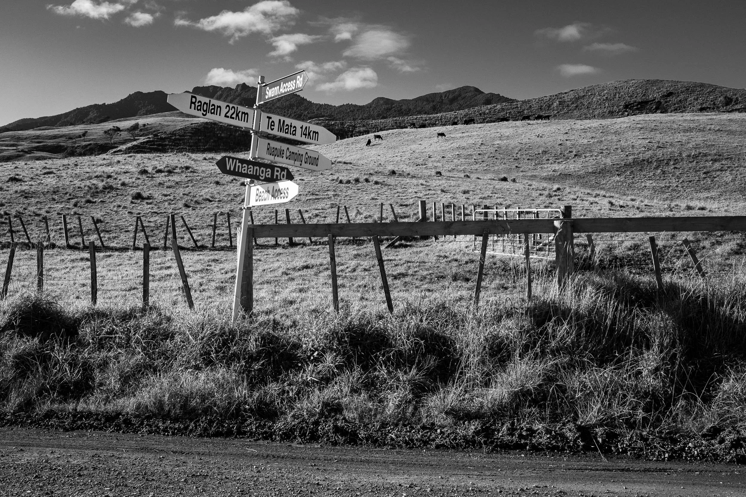 DSCF2814.jpg