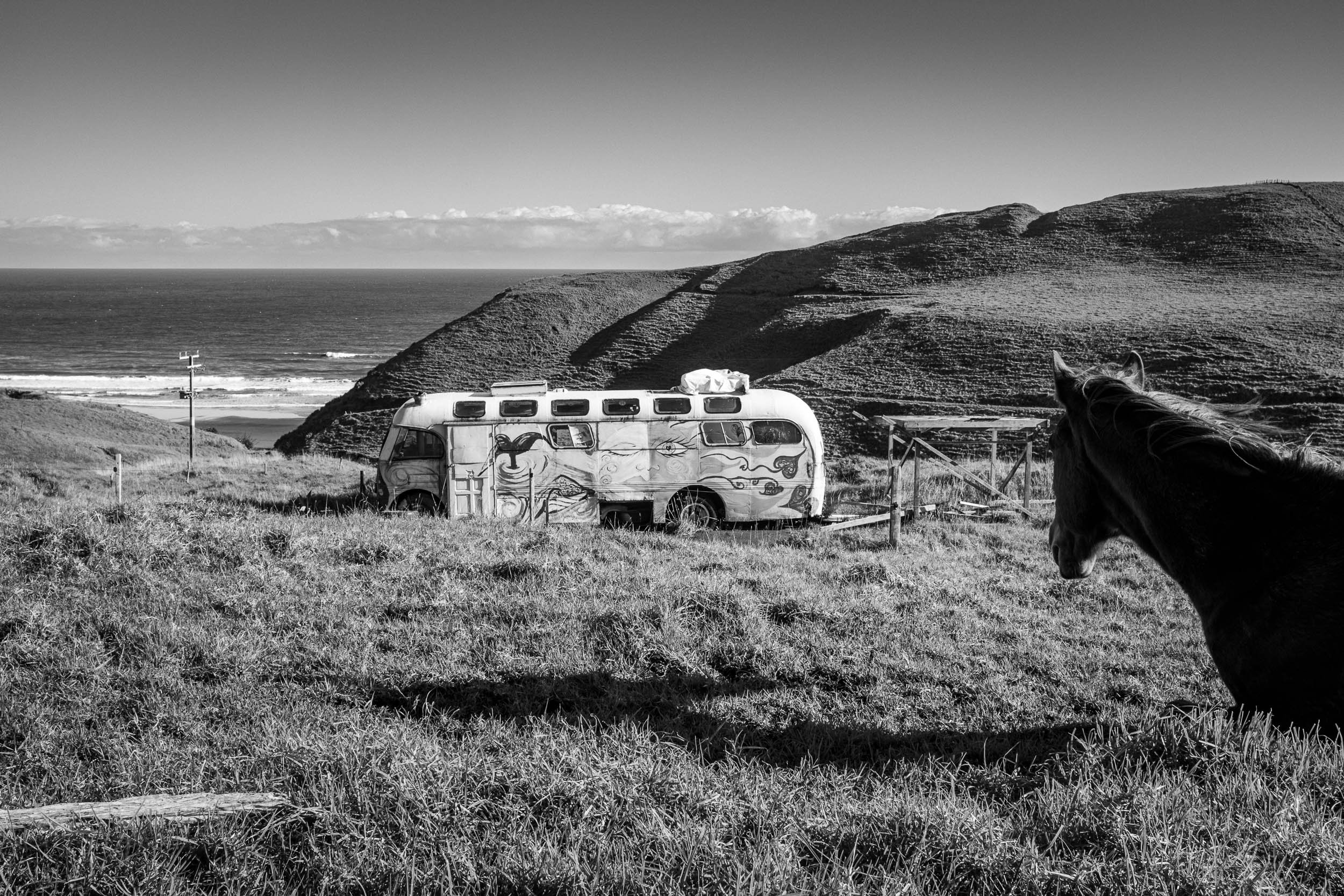 DSCF2788.jpg