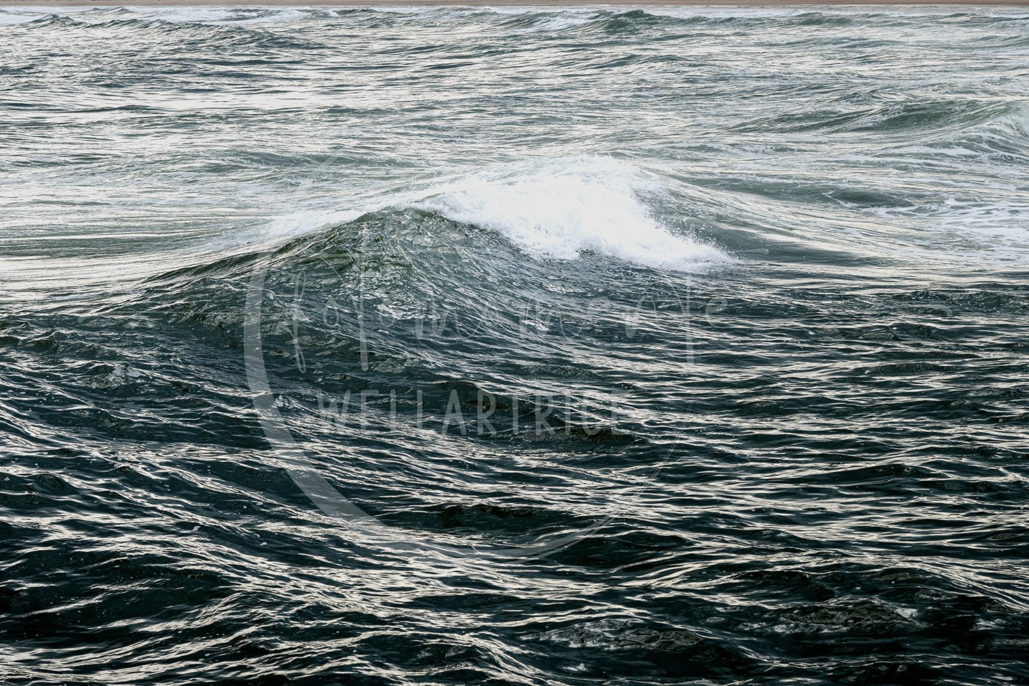 DSC_9946.jpg