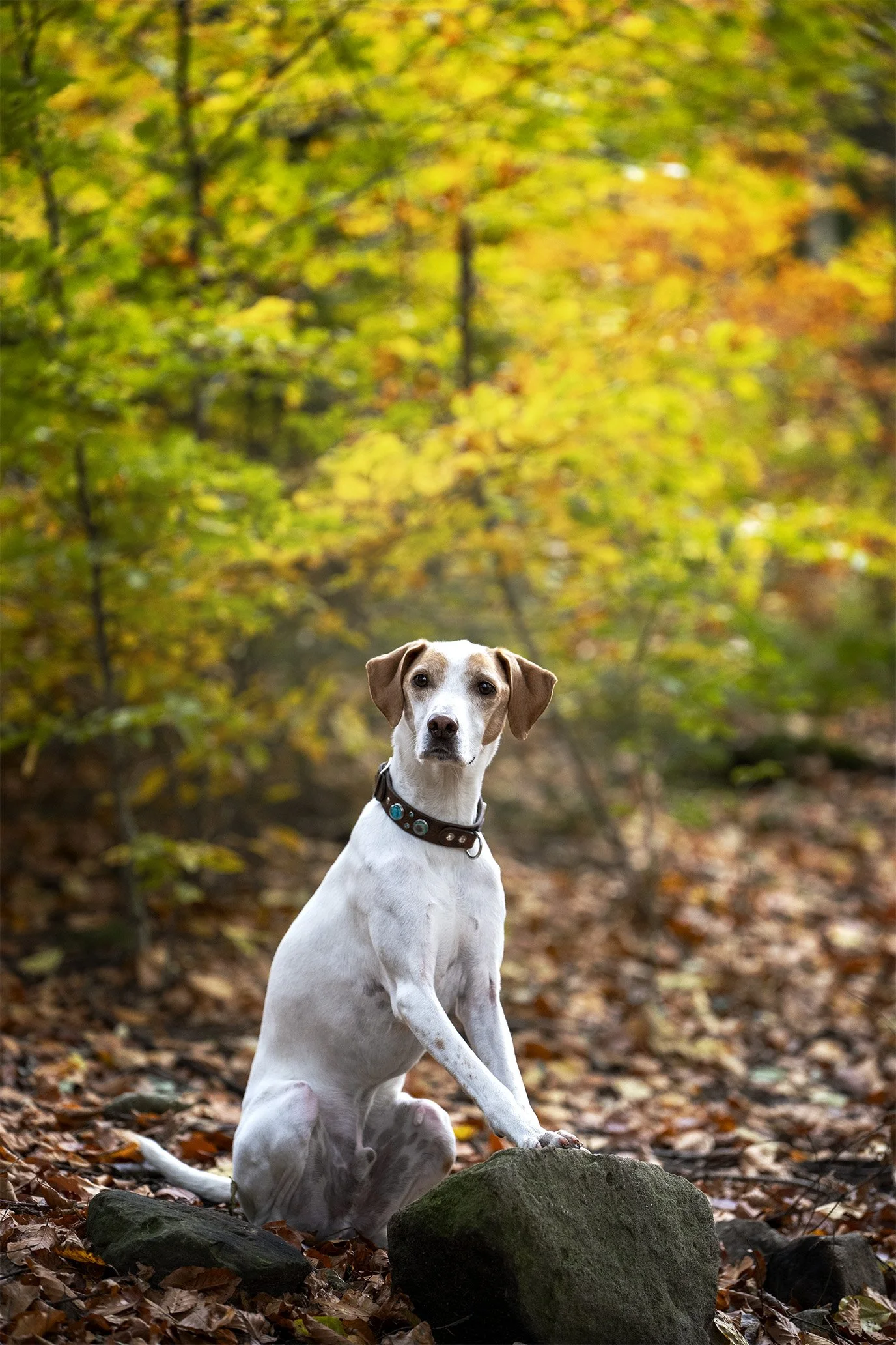DSC_4014-nachher.jpg