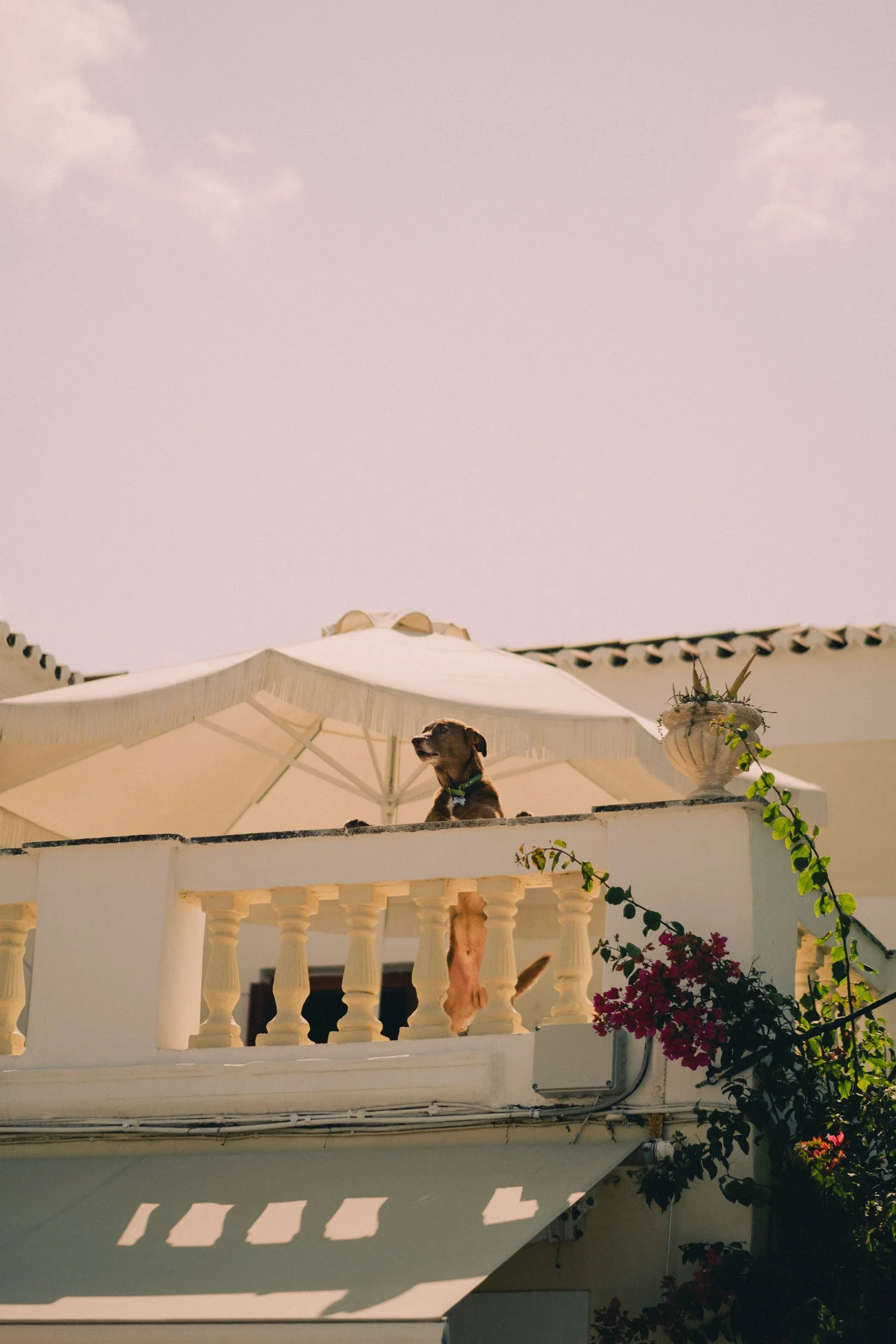 DSCF4987-Spetses-Zoe-Andreas.jpg