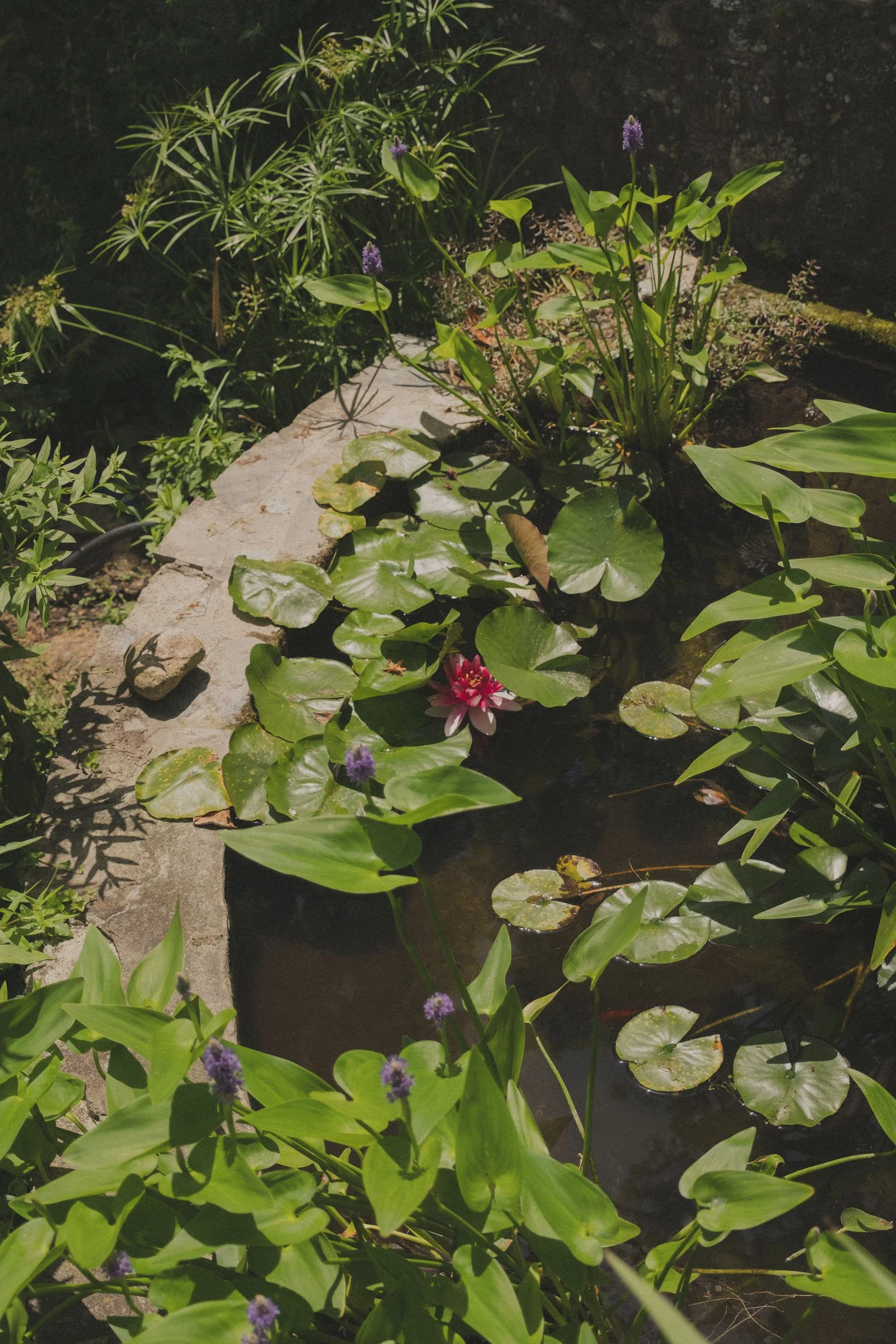 Serpentin Garden