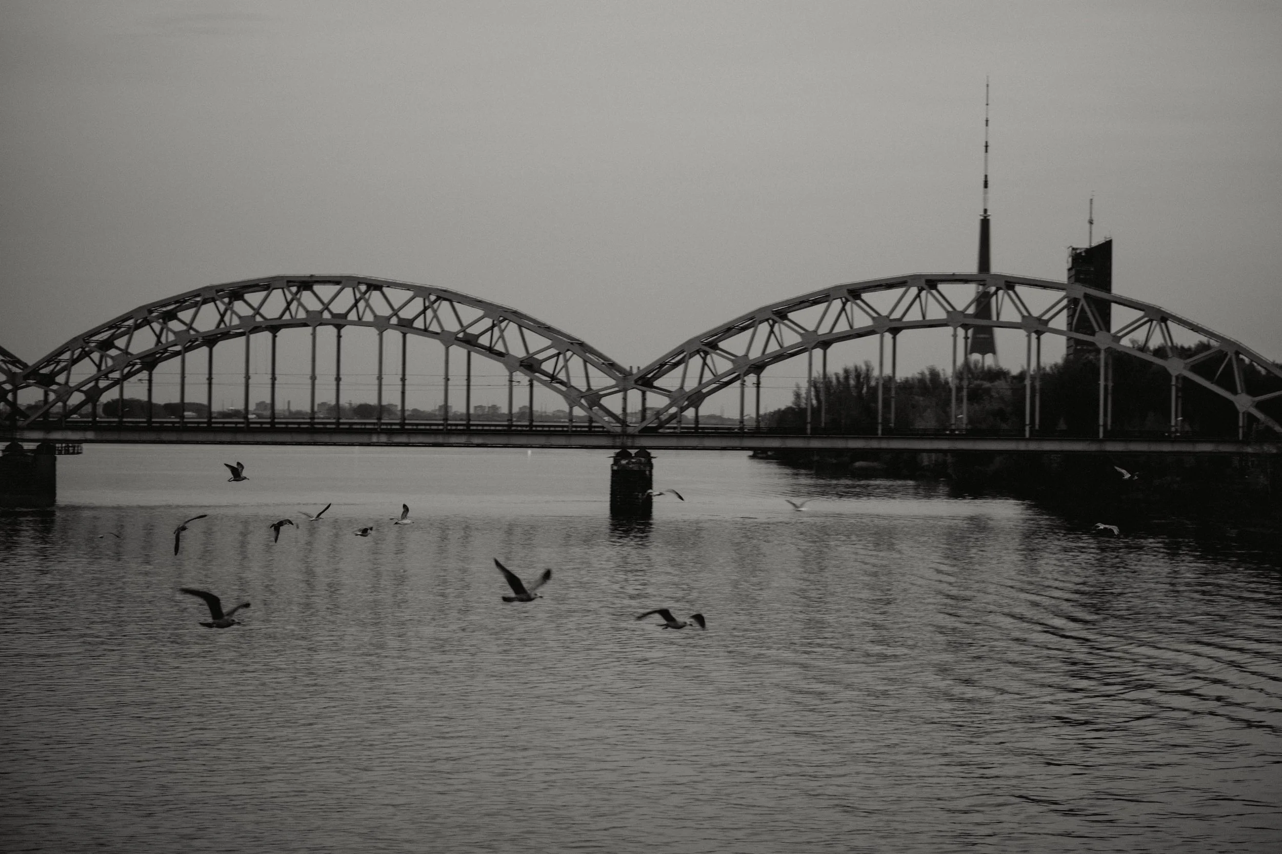 DSCF3386.jpg