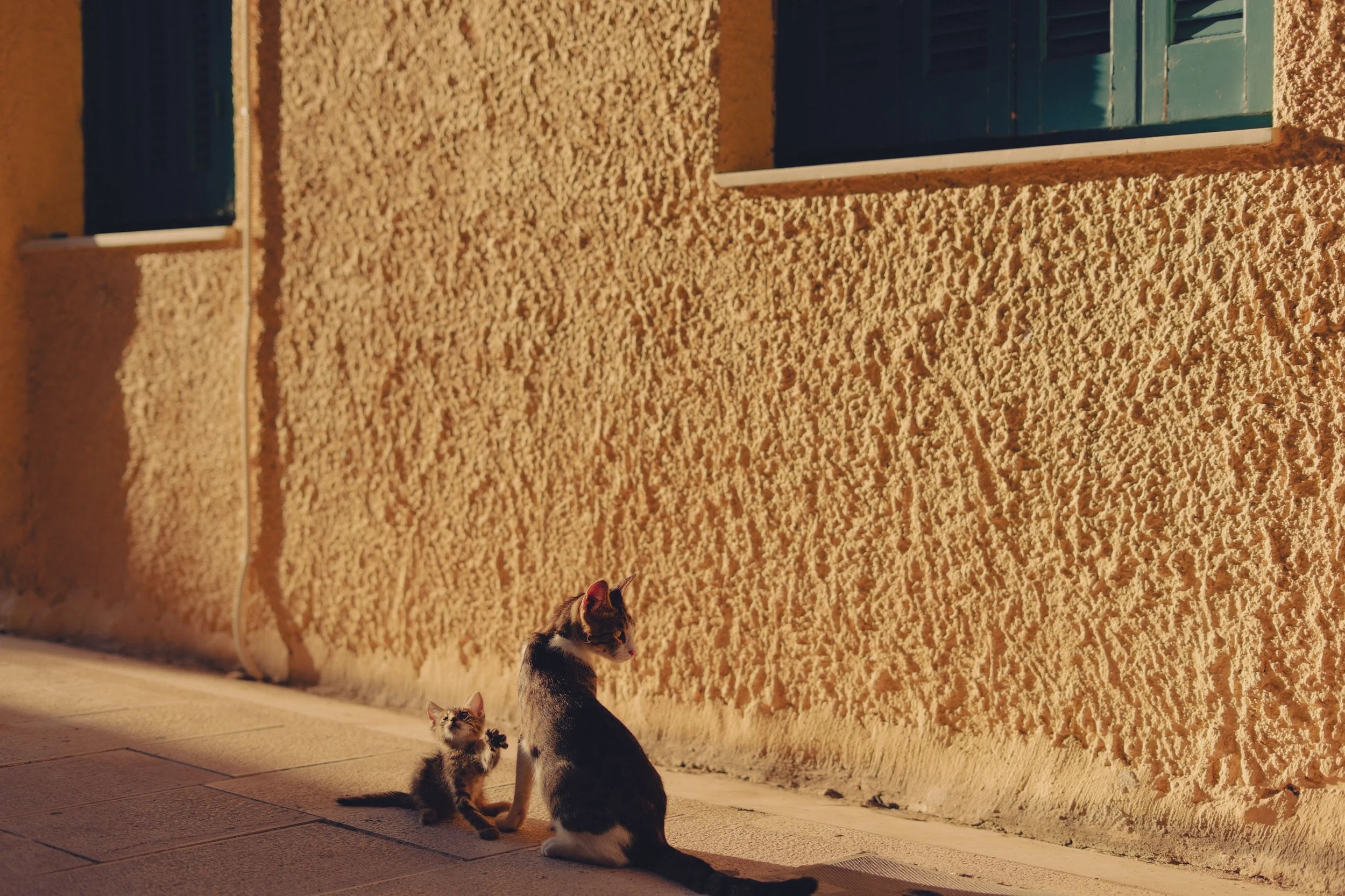 DSC00111_Lefkada Town.jpg