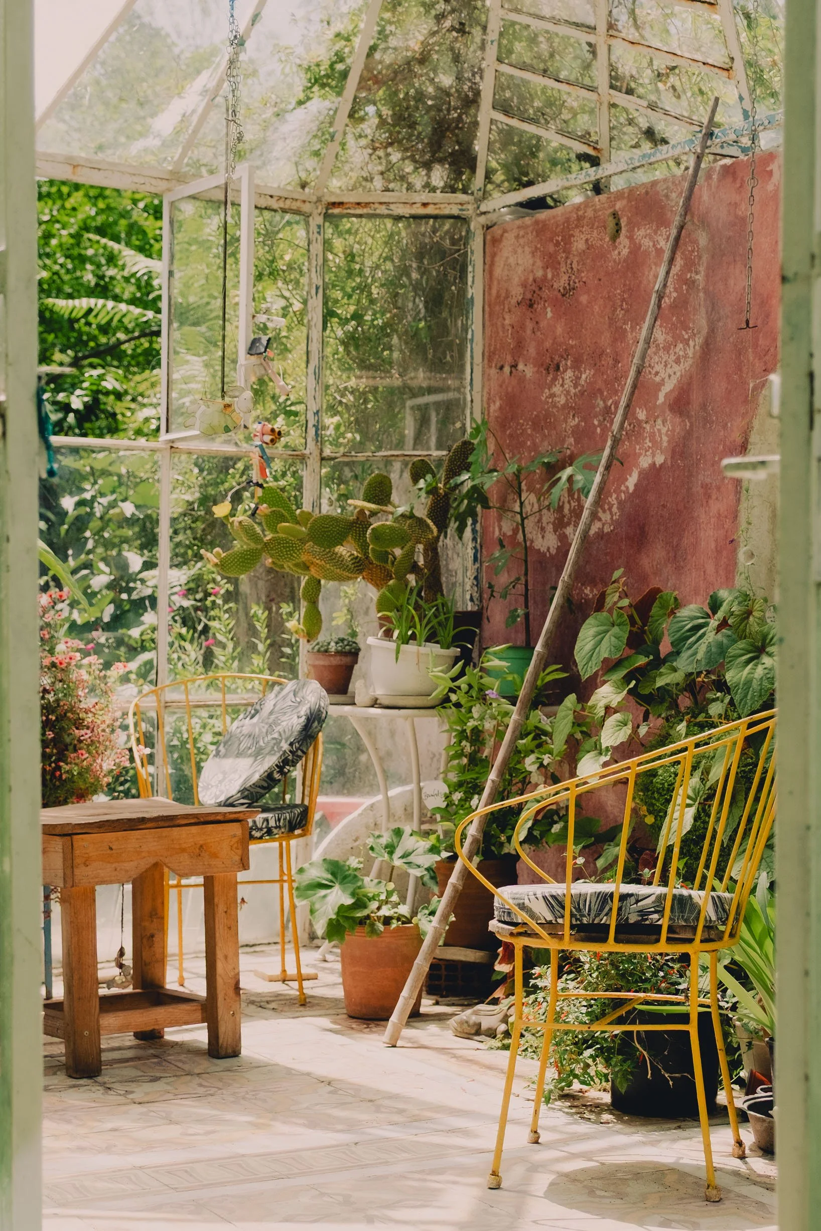 DSCF2410_XT20 2-Serpentin Garden-Zoe-Andreas.jpg