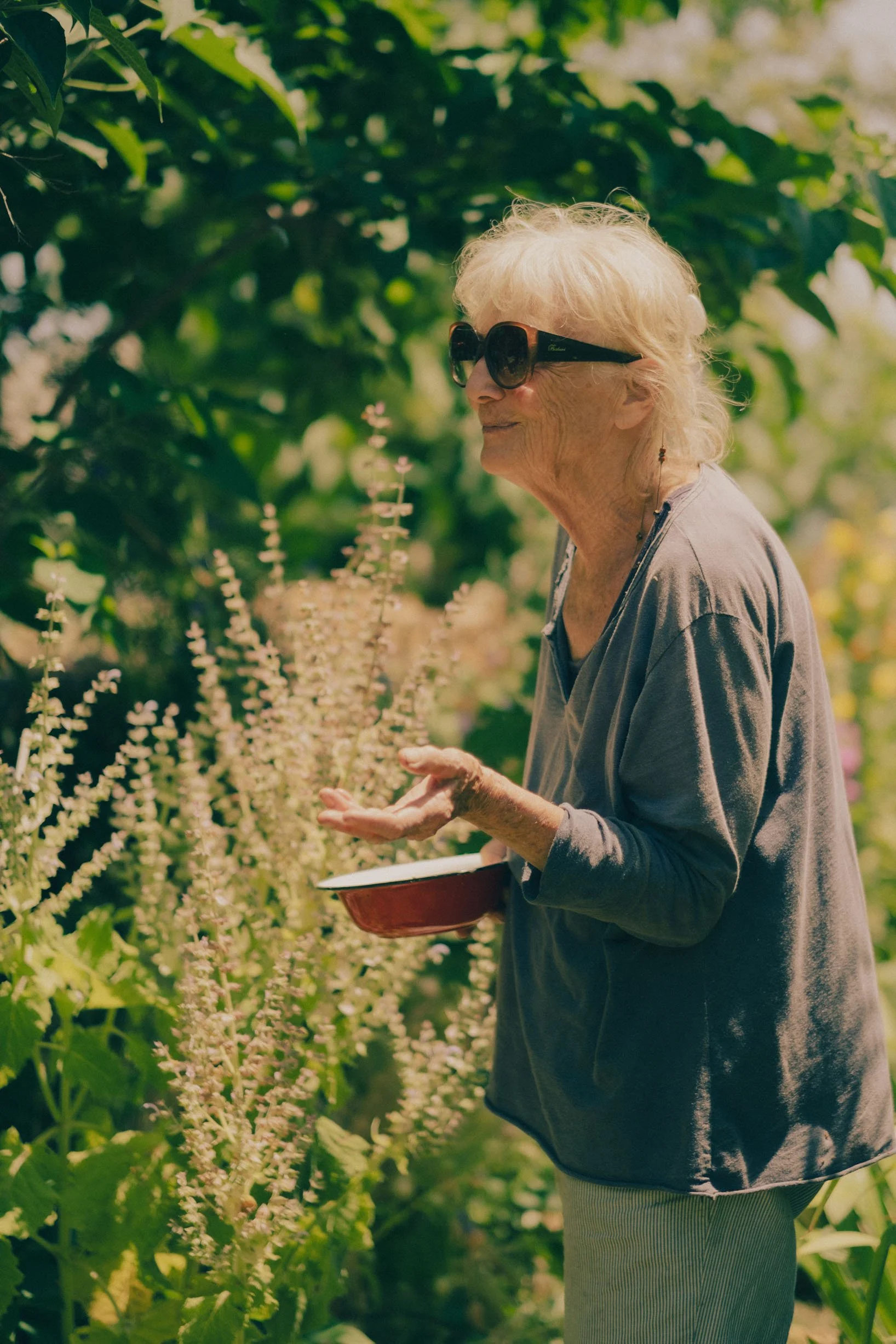 DSCF5720-Serpentin Garden-Zoe-Andreas.jpg