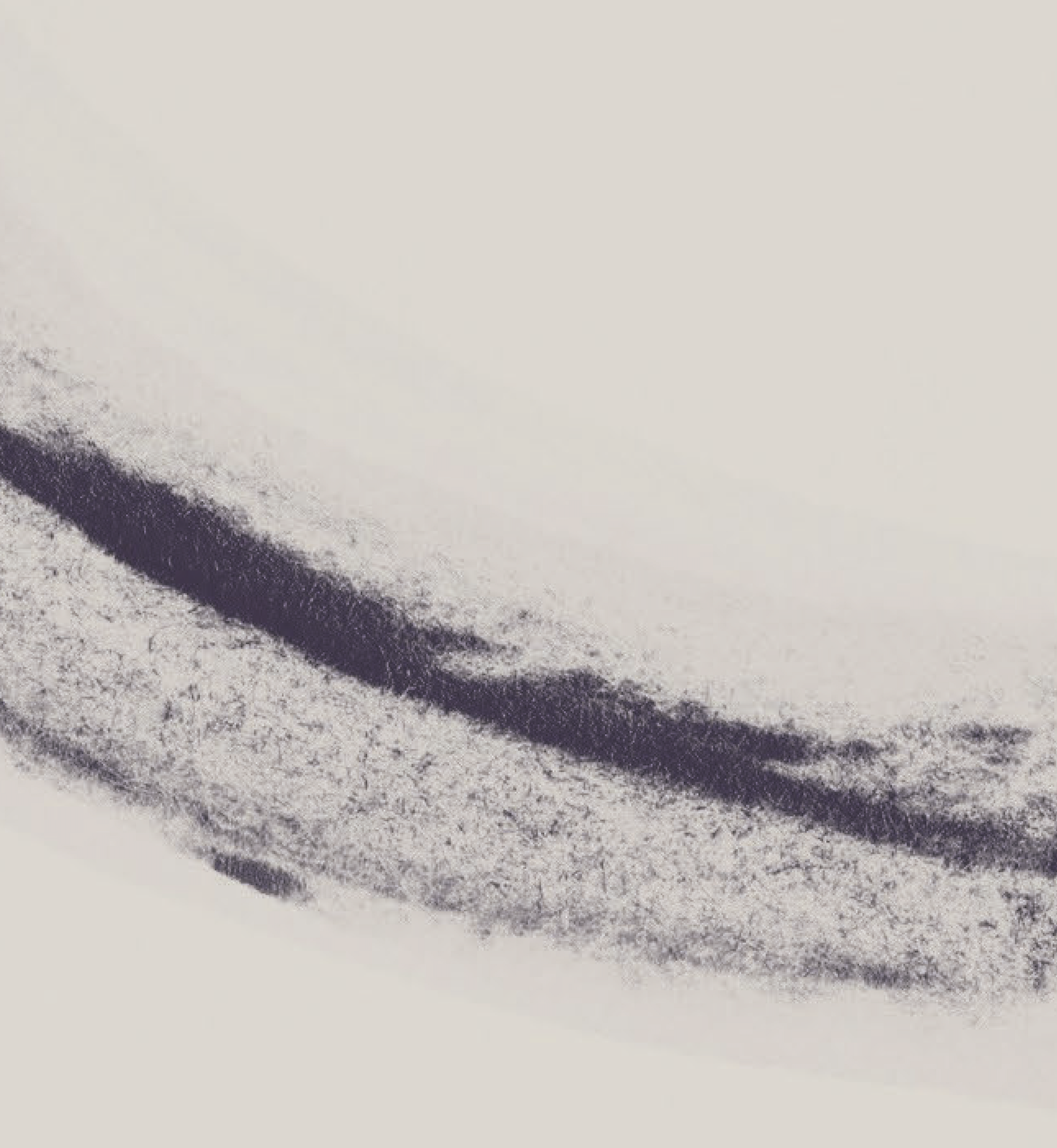 Ebb No.1 Detail 2.png