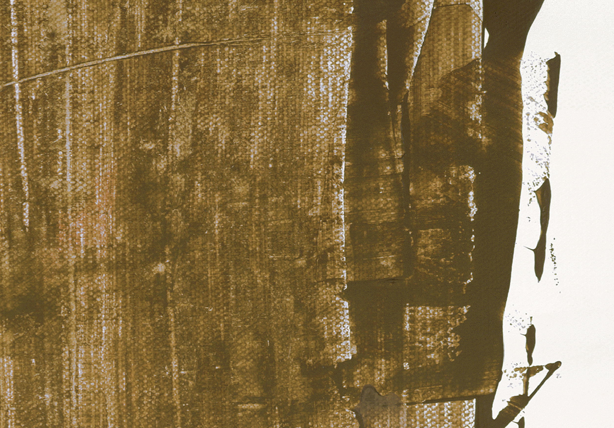 Land In Light No.1 Close Up.png