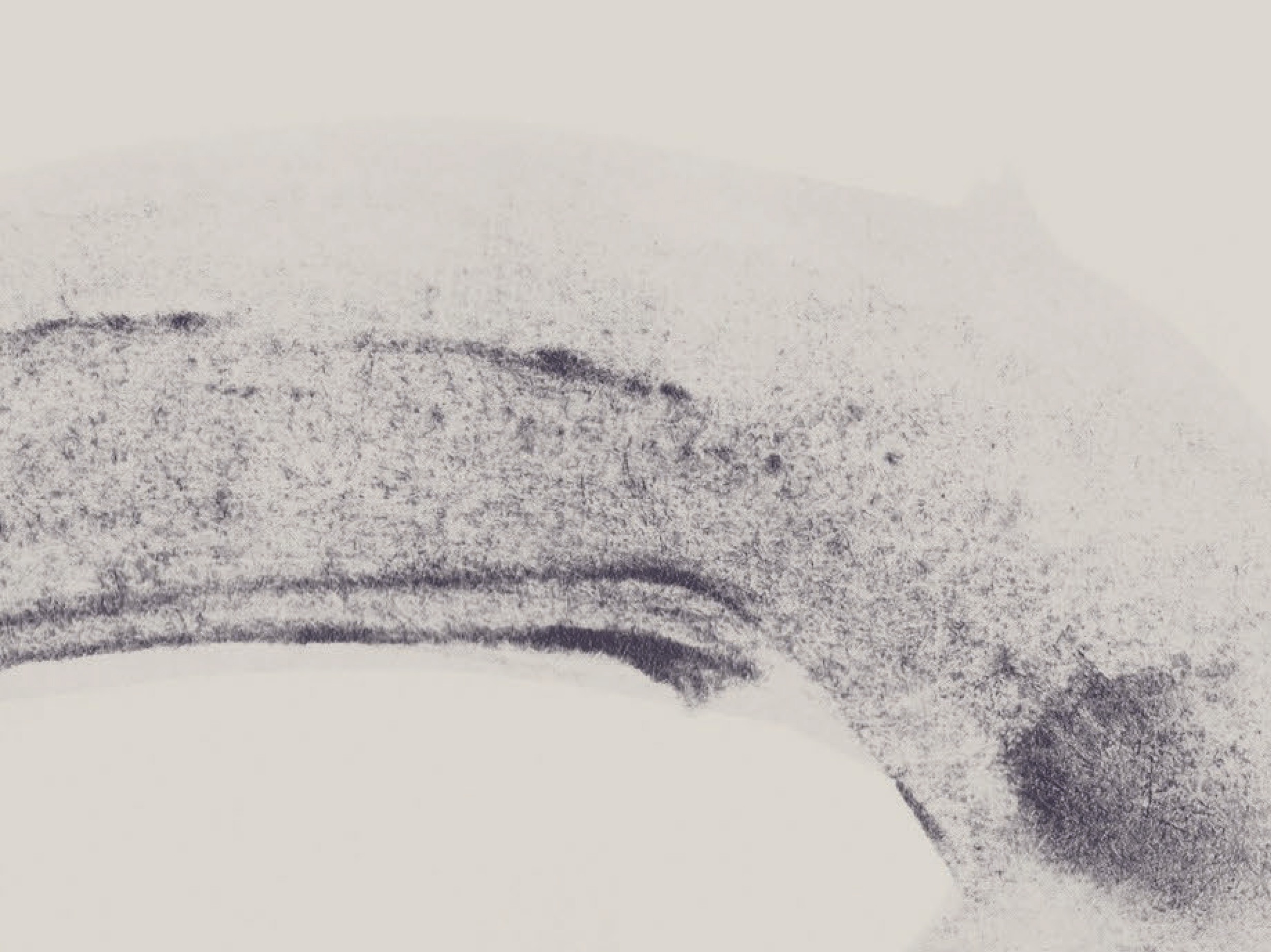 Ebb No.2 Detail 2.png