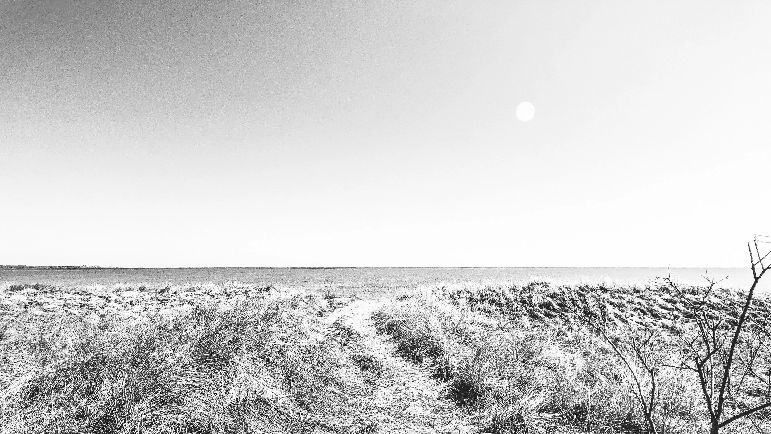 Black and white photograph of a beach landscape with tall grasses in the foreground, a body of water in the middle, and the horizon in the background under a clear sky with a visible sun.
