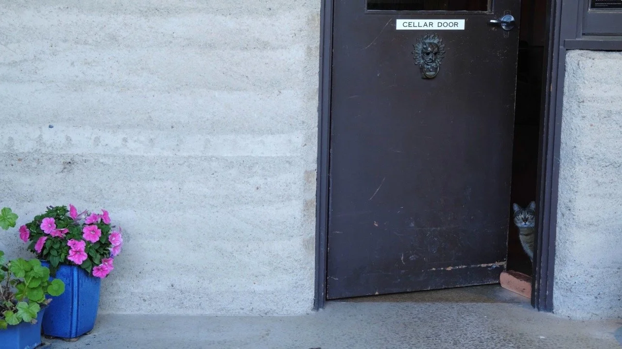 Nicholas-Pollock-PSMF2022_Film Still-Agatha-Yim-1.1.8 Large.jpeg