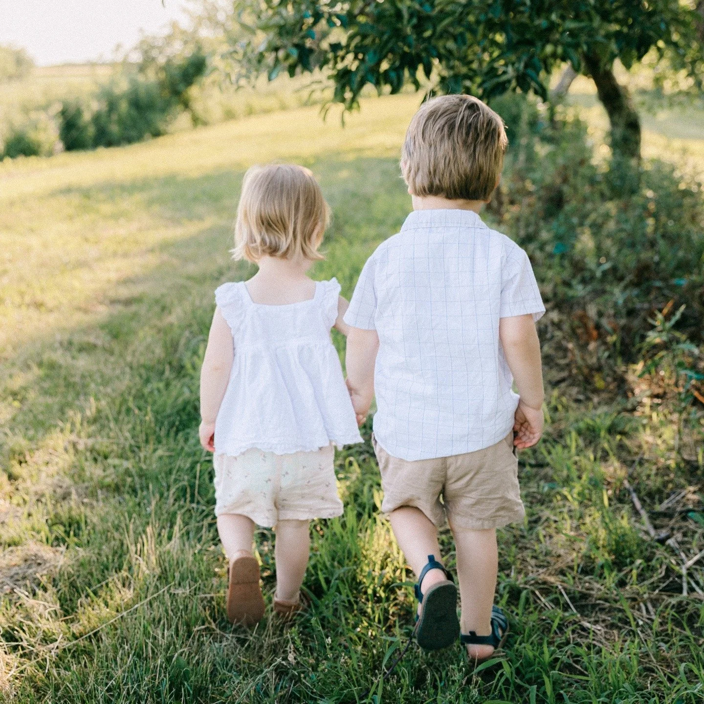 Helping this sweet little family to capture this precious season of life ❤️

#familyphotographer #familyphotos #familyphotoideas #familyphotoinspiration #familyphotoshoot #sarniaphotographer #sarniafamilyphotographer #sarniaontario #lambtoncountyphot