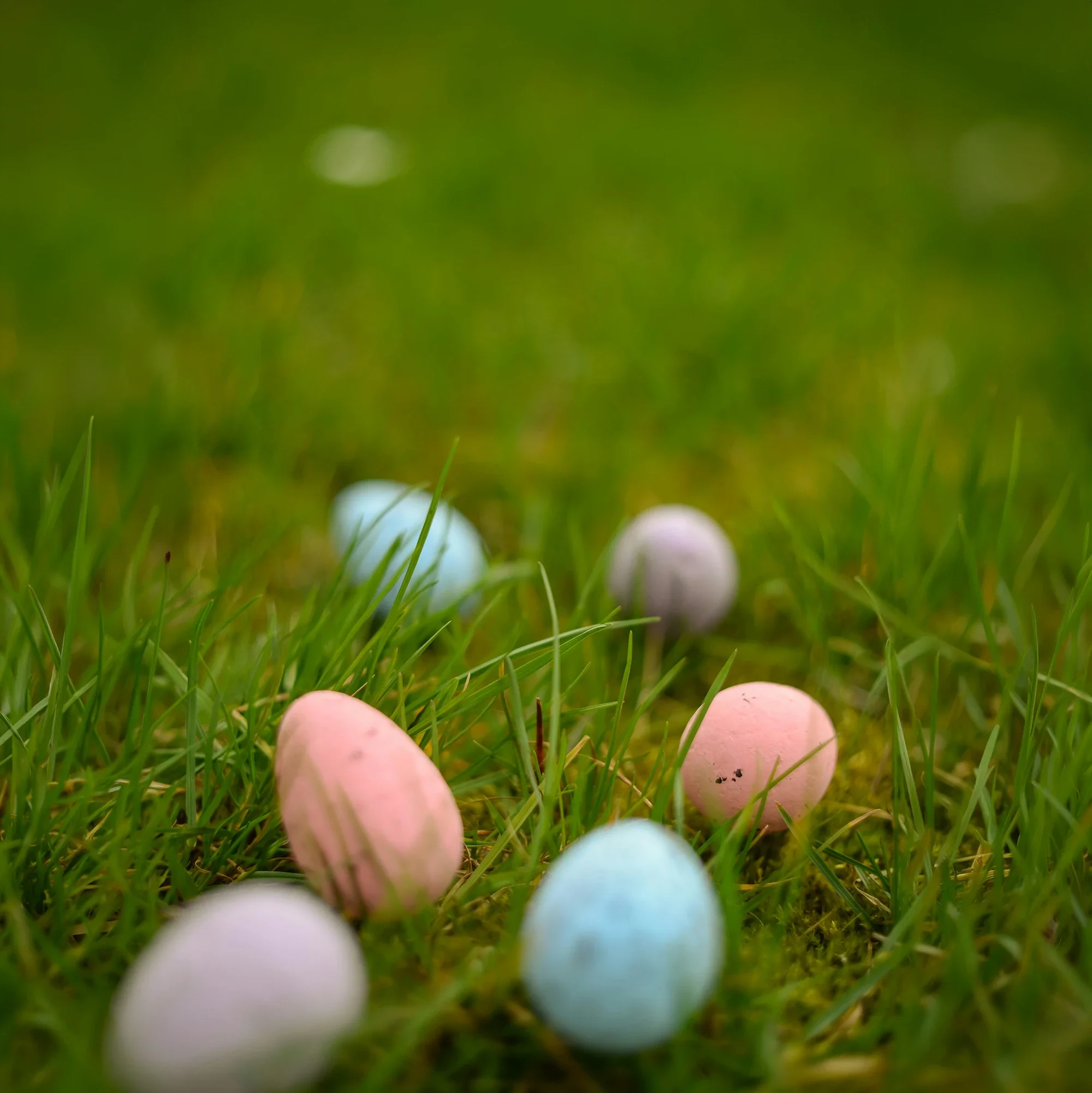 The Western Primary Easter Egg Hunt &amp; Fair 2026