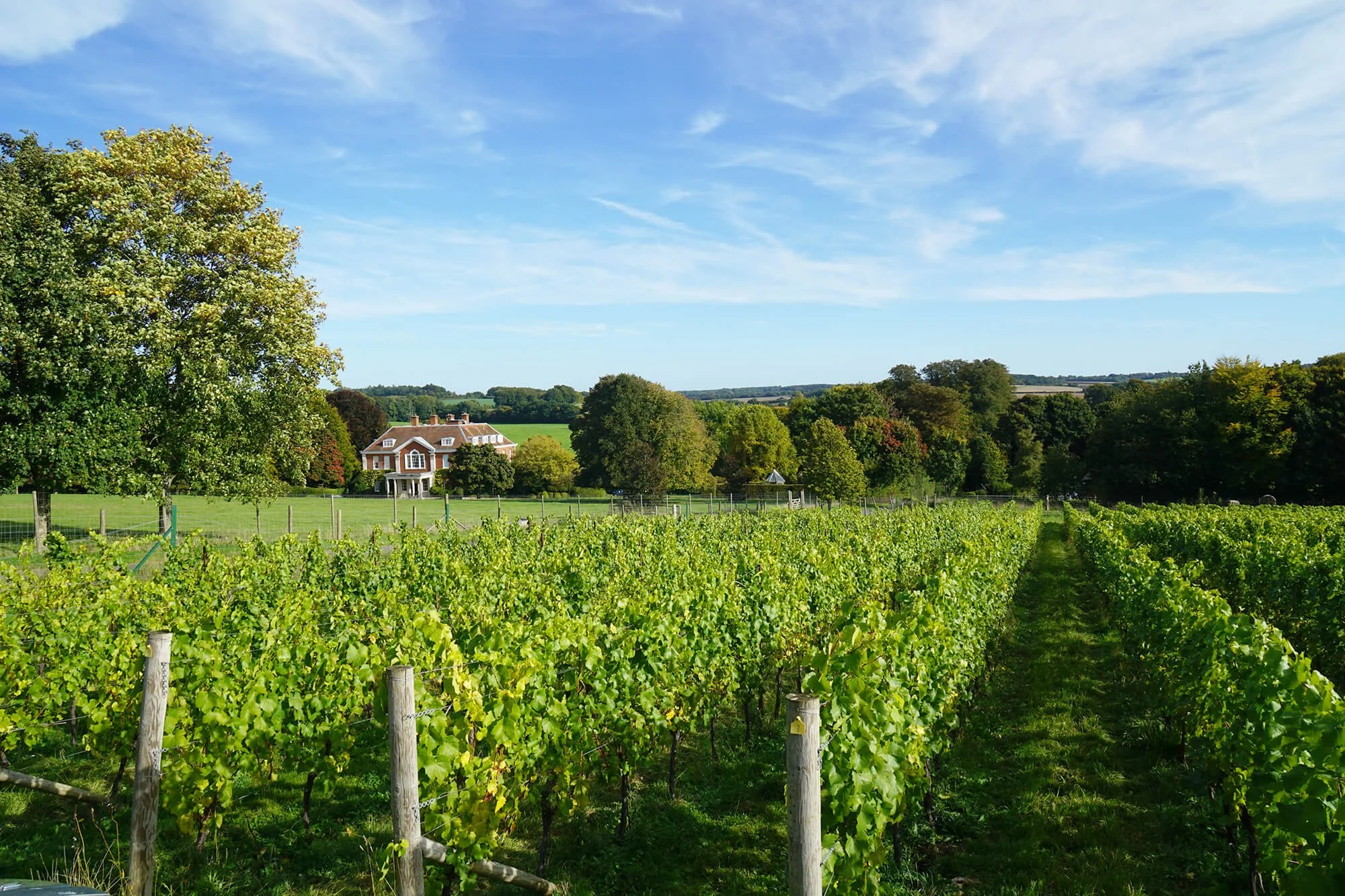 Spend a day in the Candover Valley