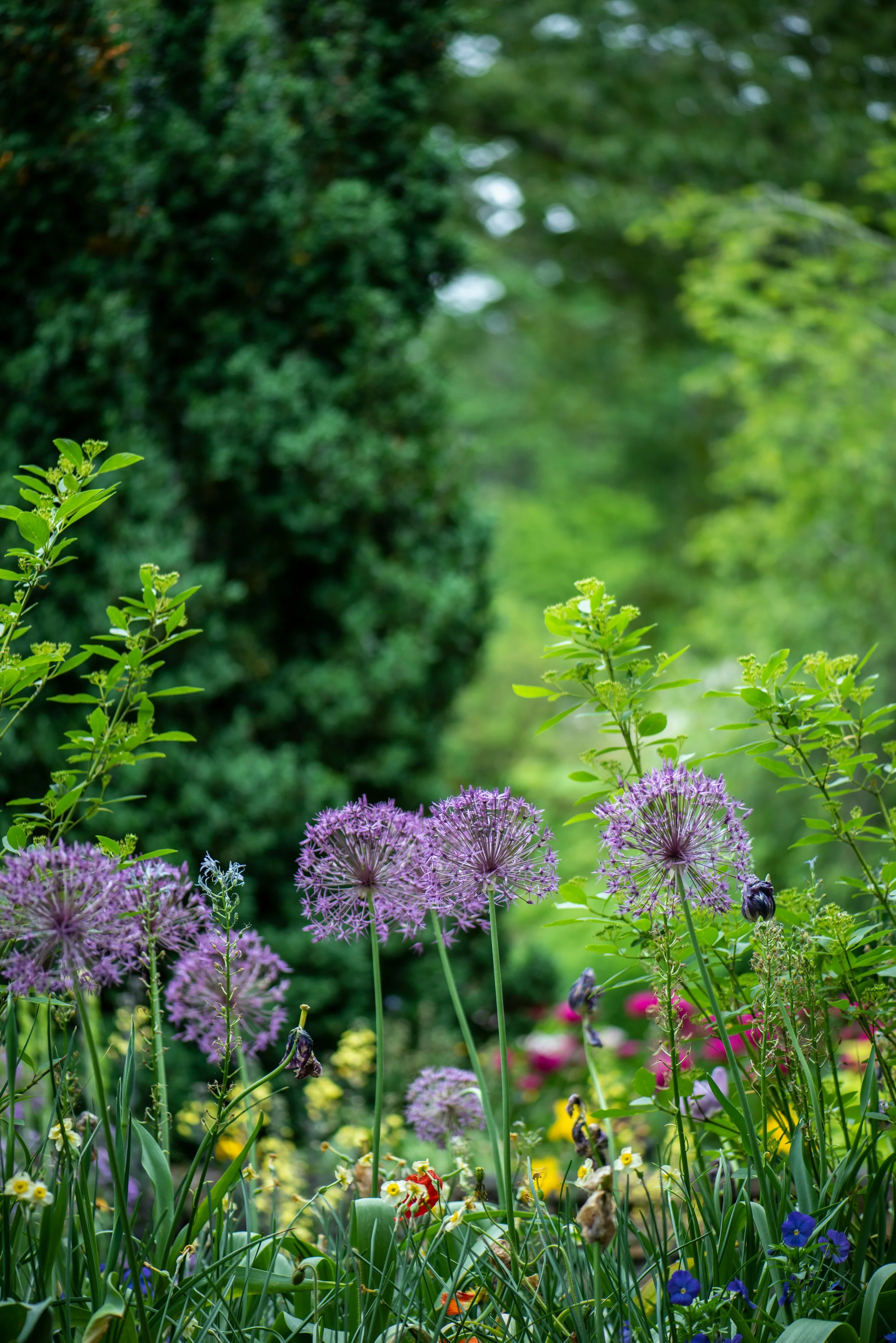 Winchester homes with large gardens