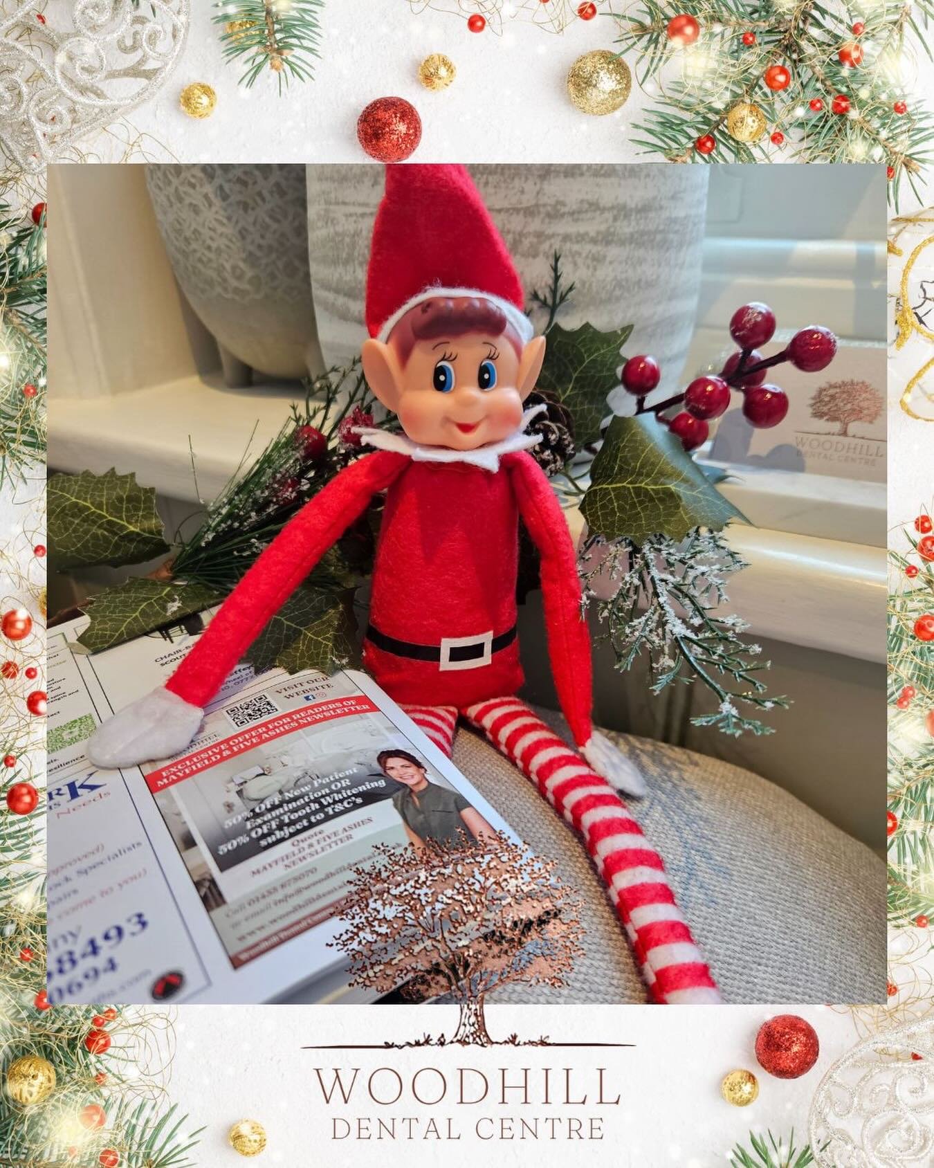 Woody has found us in the local Mayfield magazine! 👀 Where did you hear about us? Or how did you find us? Comment below - we always like to get feedback on what works 👌🏻💕