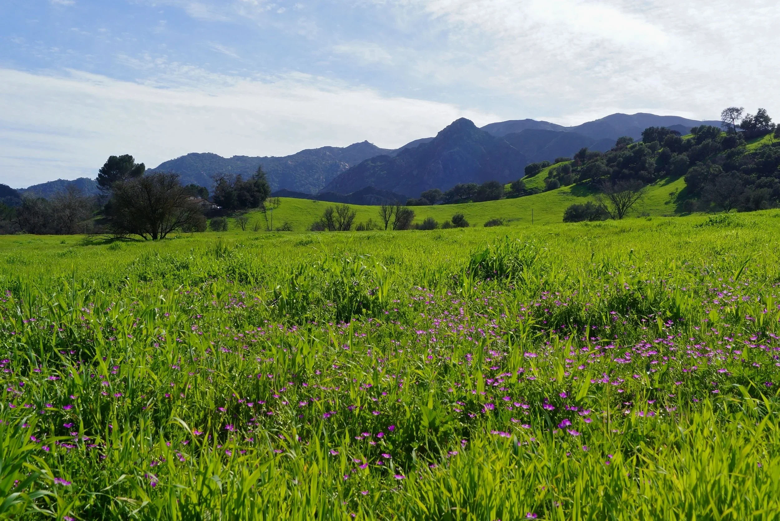 Malibu Creek Docent Walk  