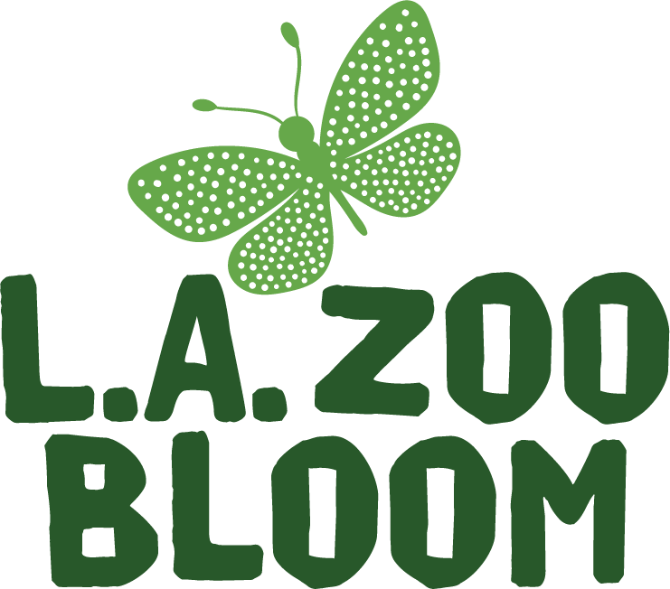 Zoo Bloom&nbsp;
