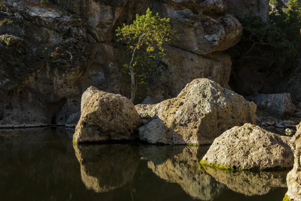 Rock Pool