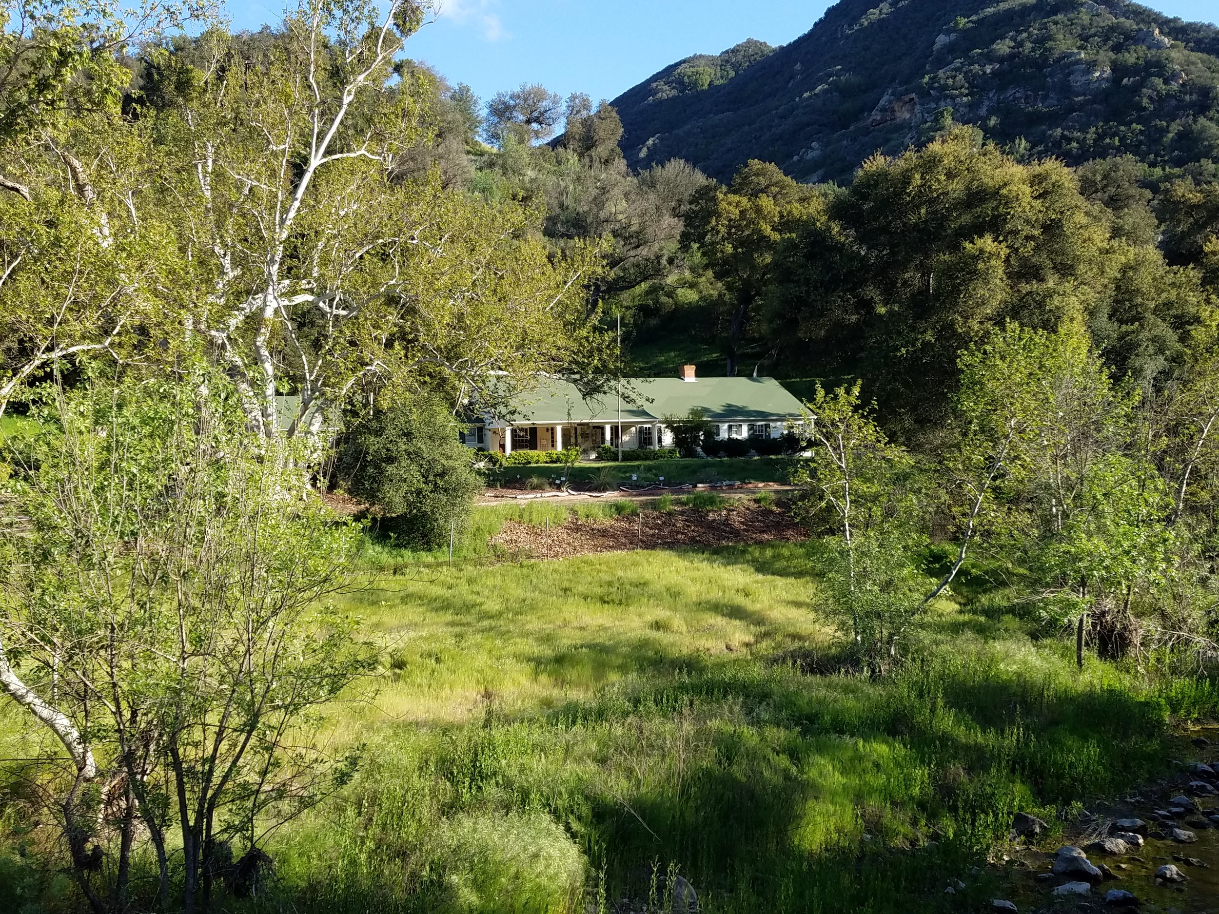 A Legacy Preserved: Malibu Creek State Park Turns 50