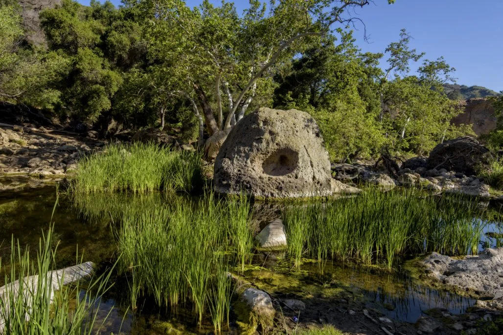 Malibu Creek Docent Walk 