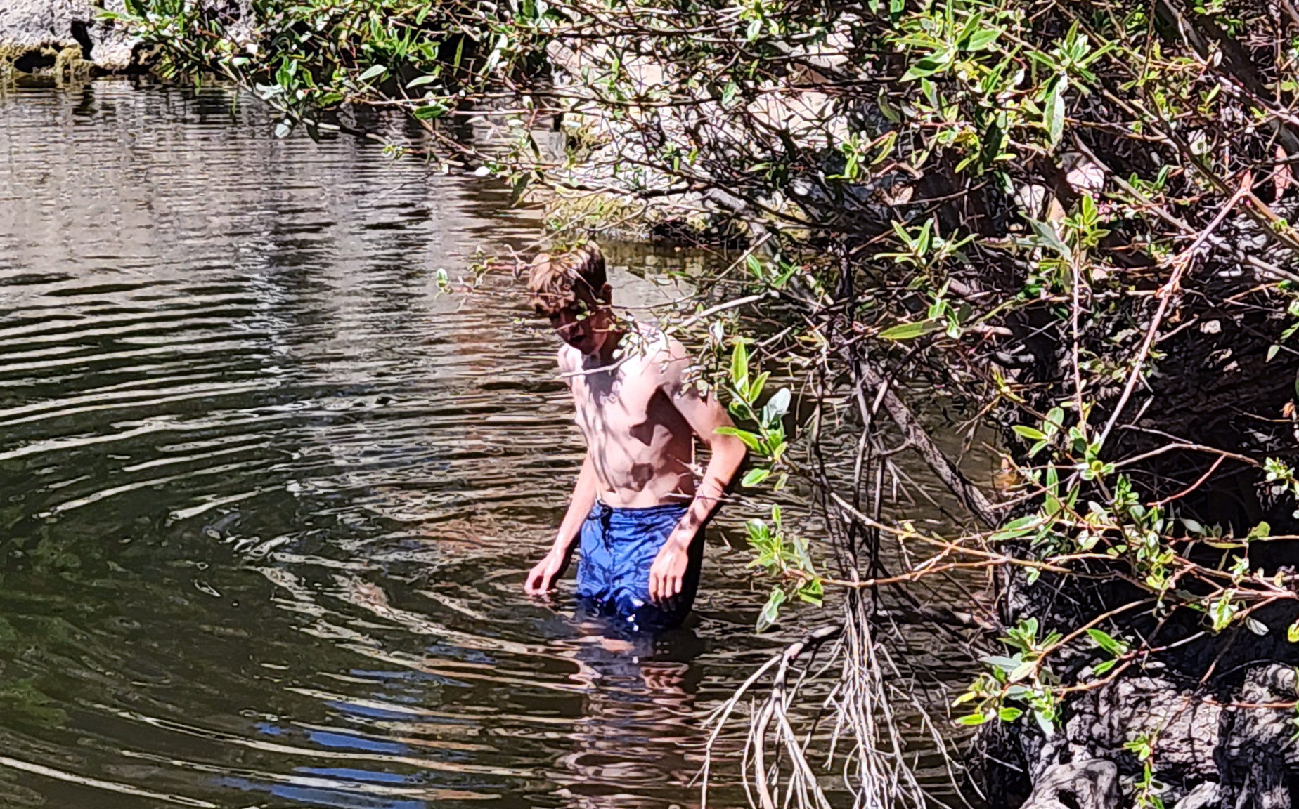 How Safe is that Swimming Hole?