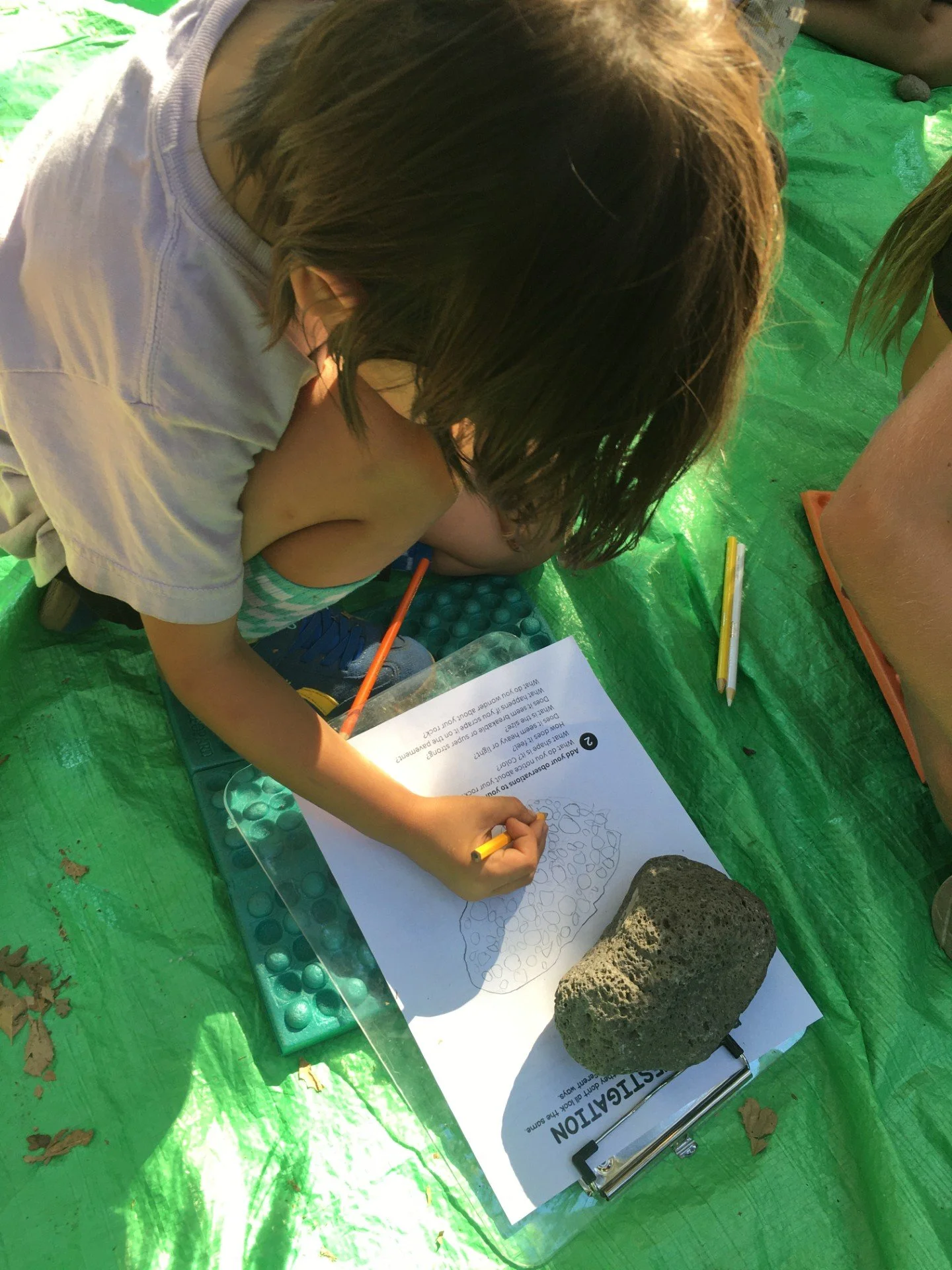 Jr Ranger Program