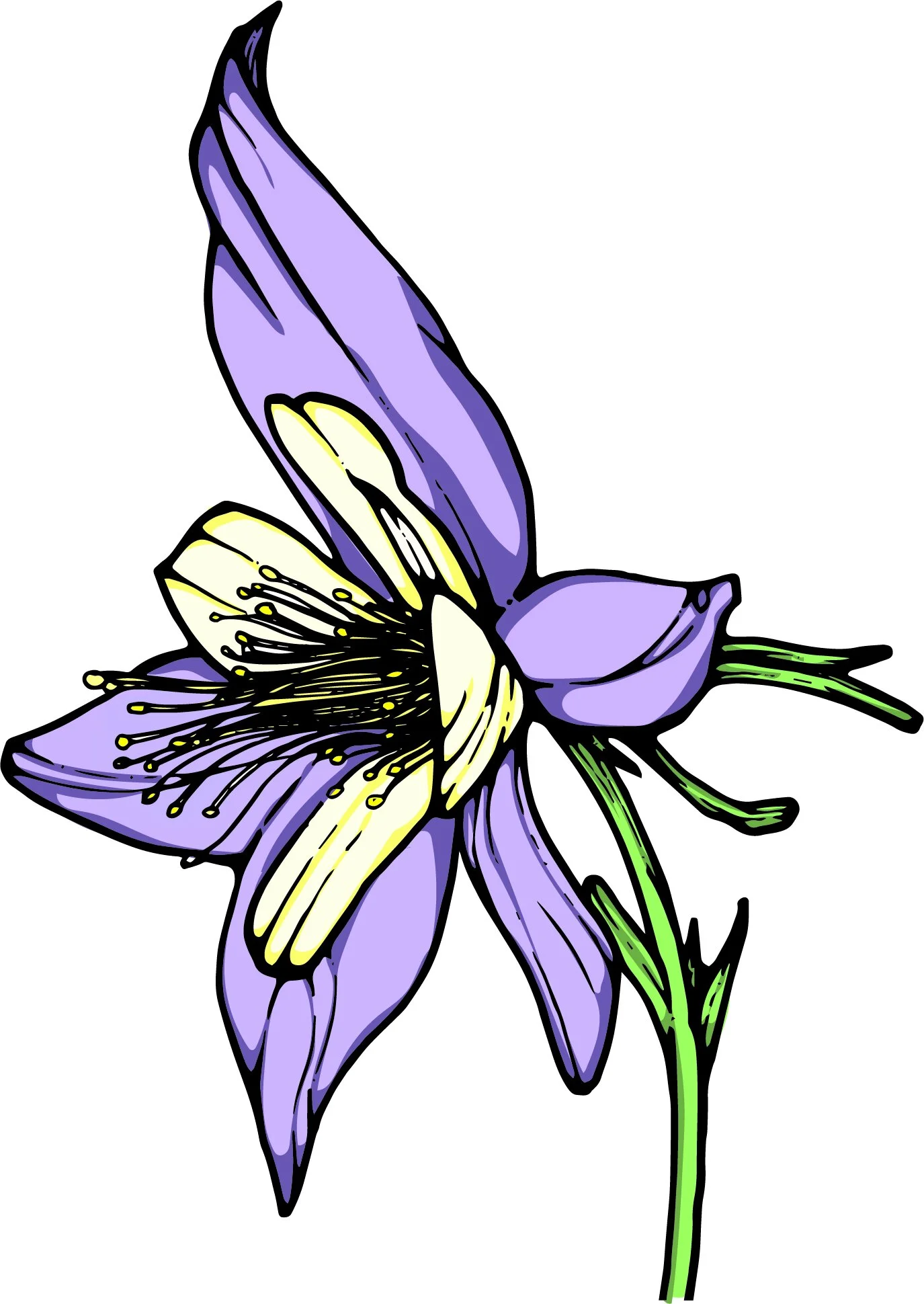 Columbine_Color.jpg