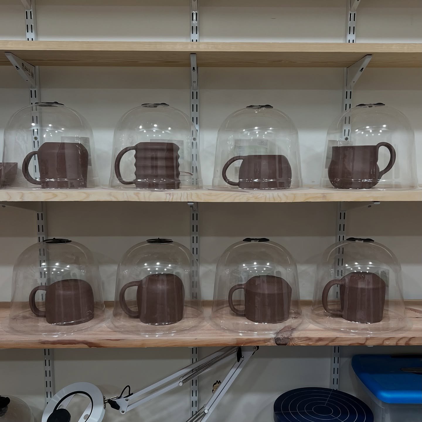 I can never get over how cute mugs drying slowly in their incubators are. 🤗☕️