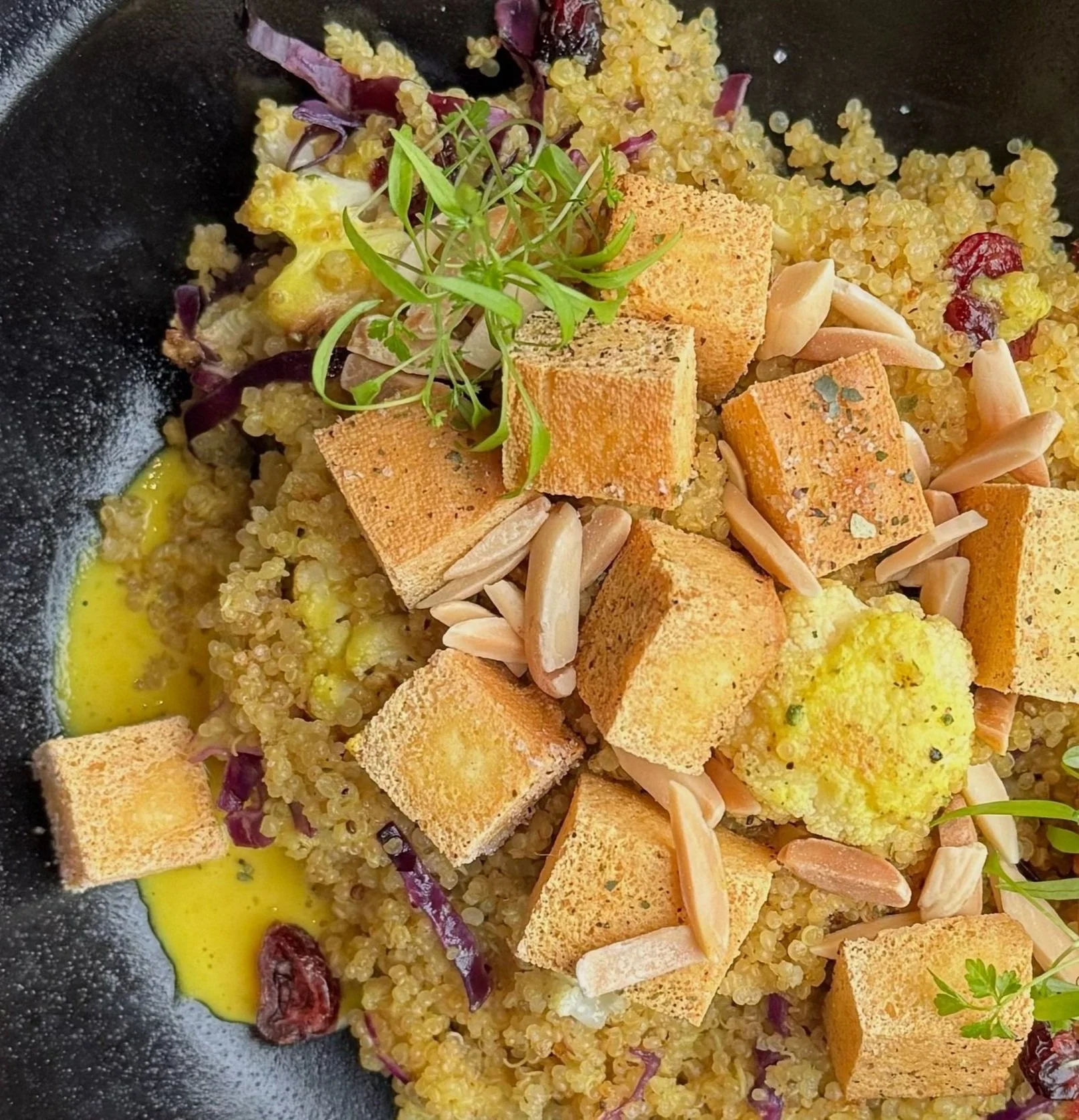 The Underwing The Gaslight District the-underwing-the-gaslight-district