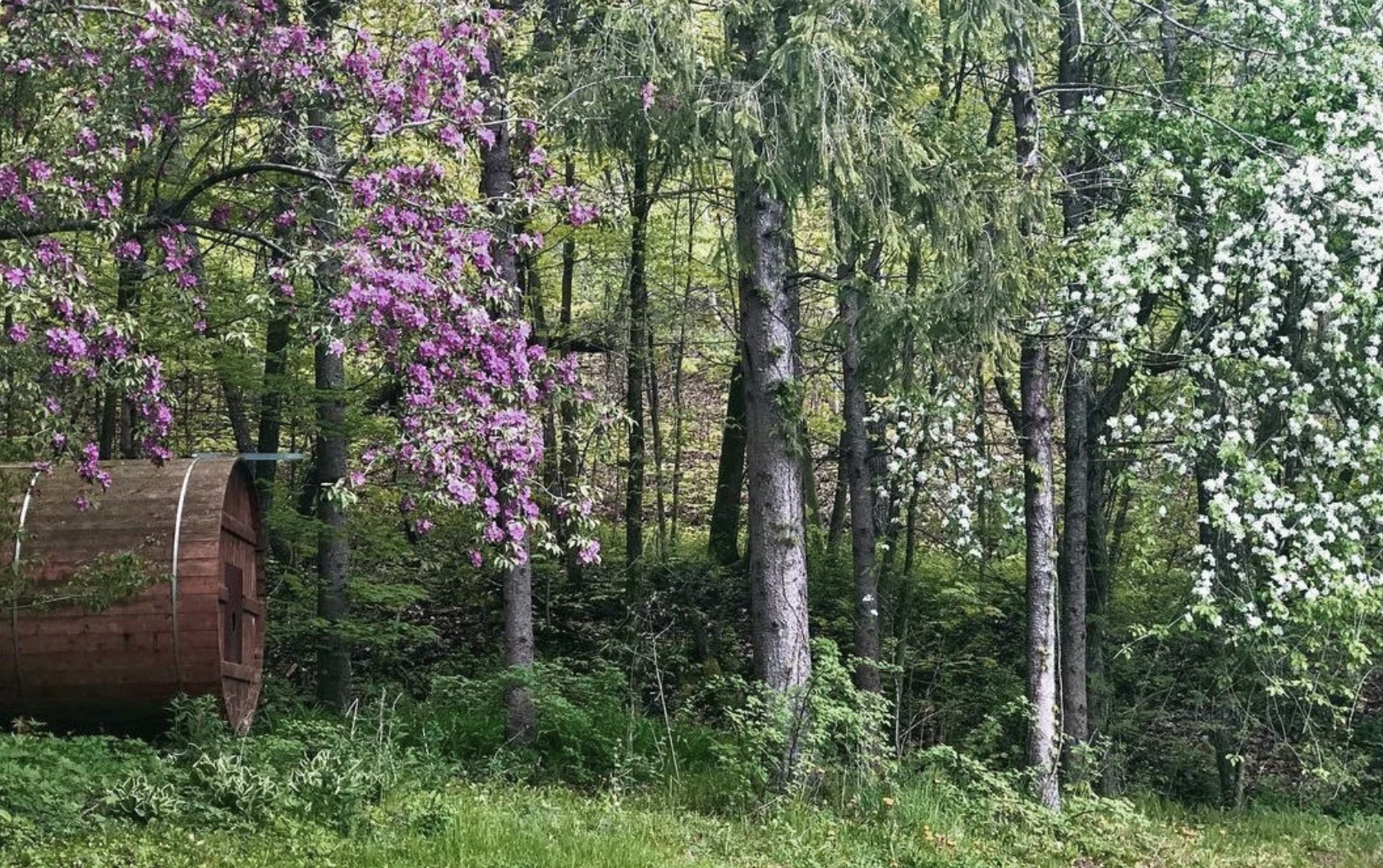 Screenshot 2026-03-11 at 2.33.52 PM.png