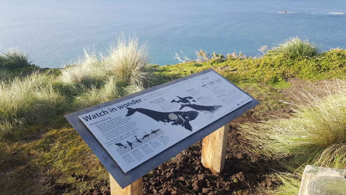 Bass Coast Whale Discovery Trail