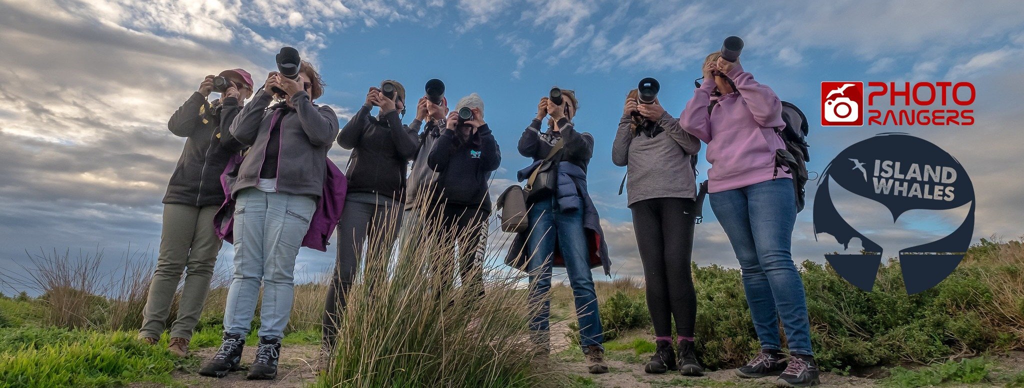 Whale Spotting Photography Workshop &amp; Tour