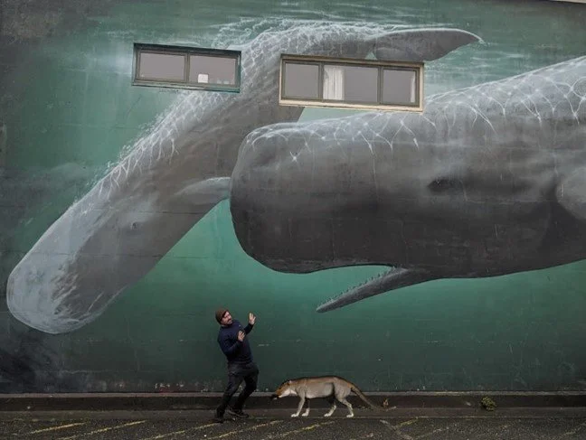 The Killer Sperm Whales