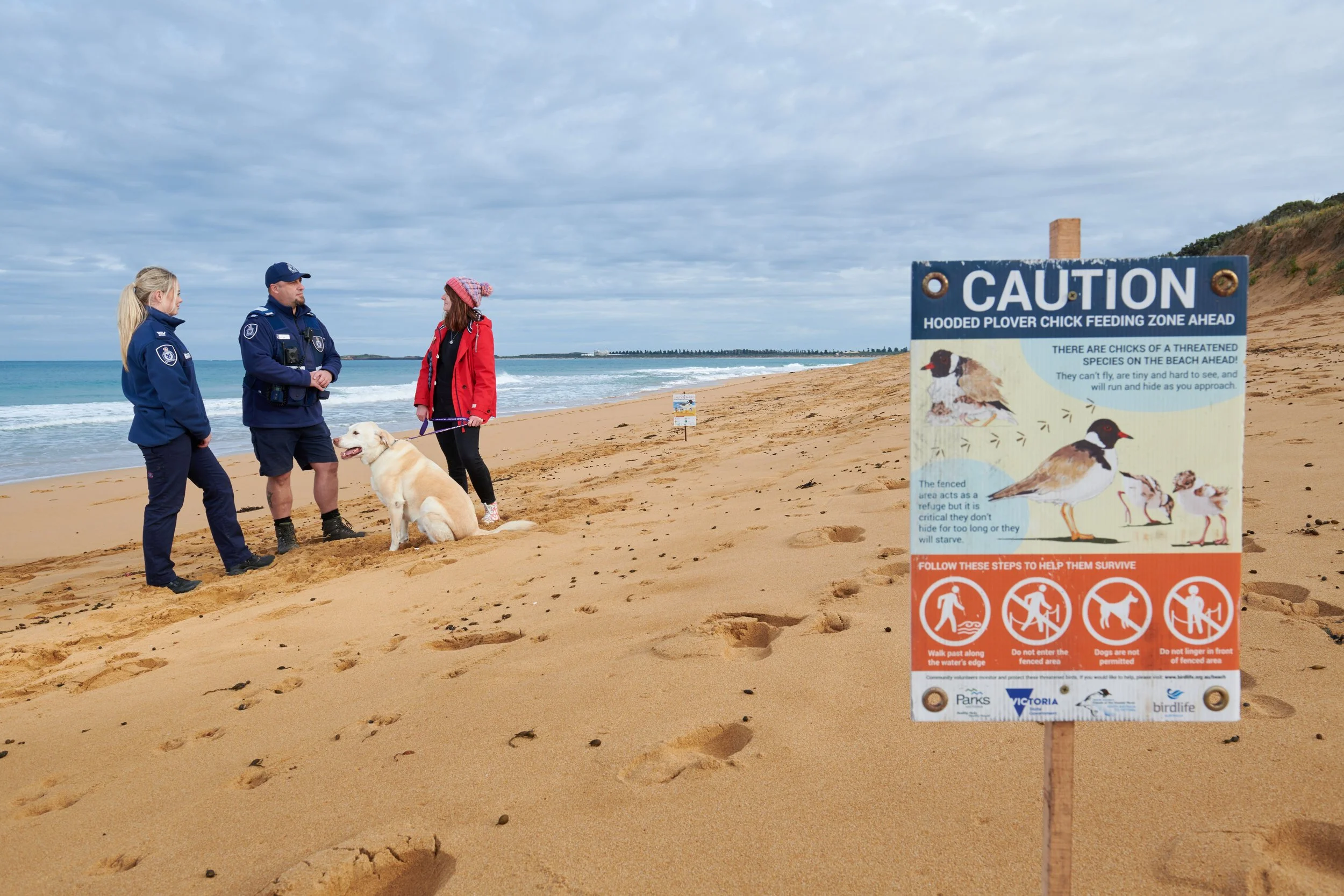 Coastal & Marine Wildlife: the need for a long-distance relationship