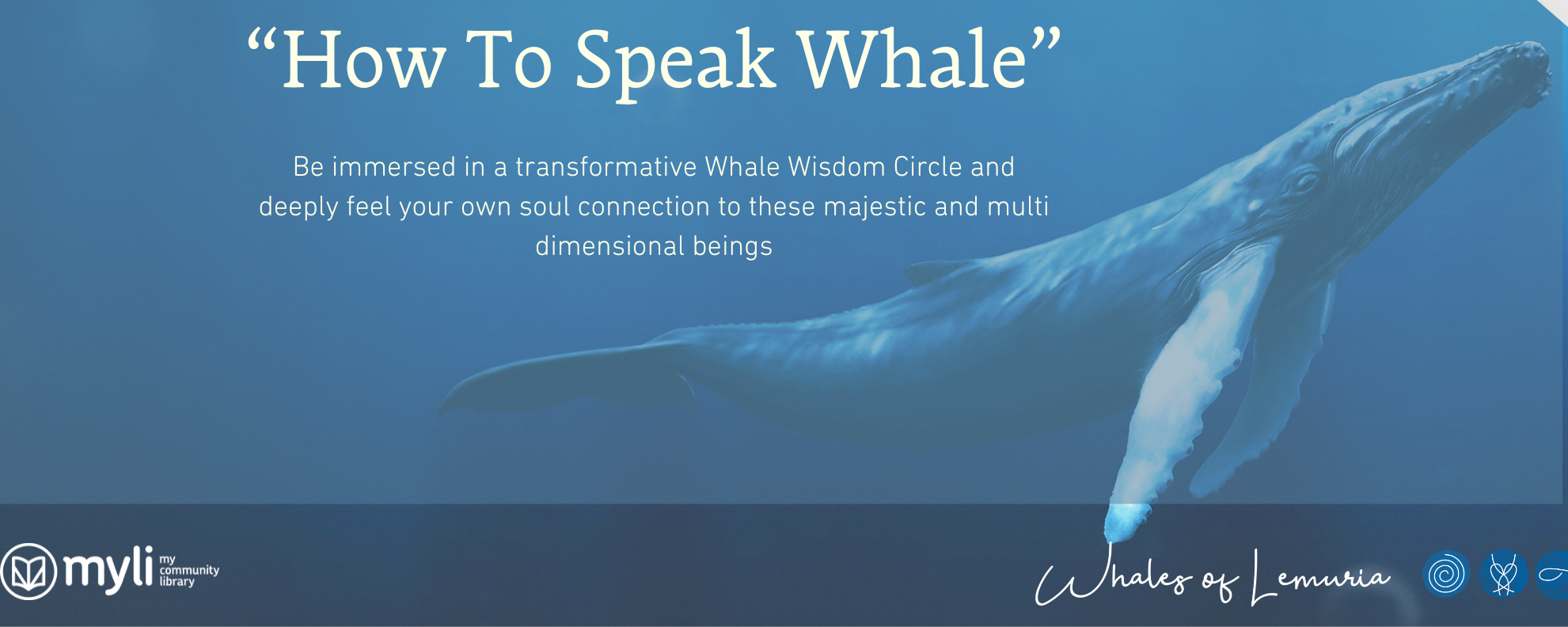 Whale Wisdom Circle